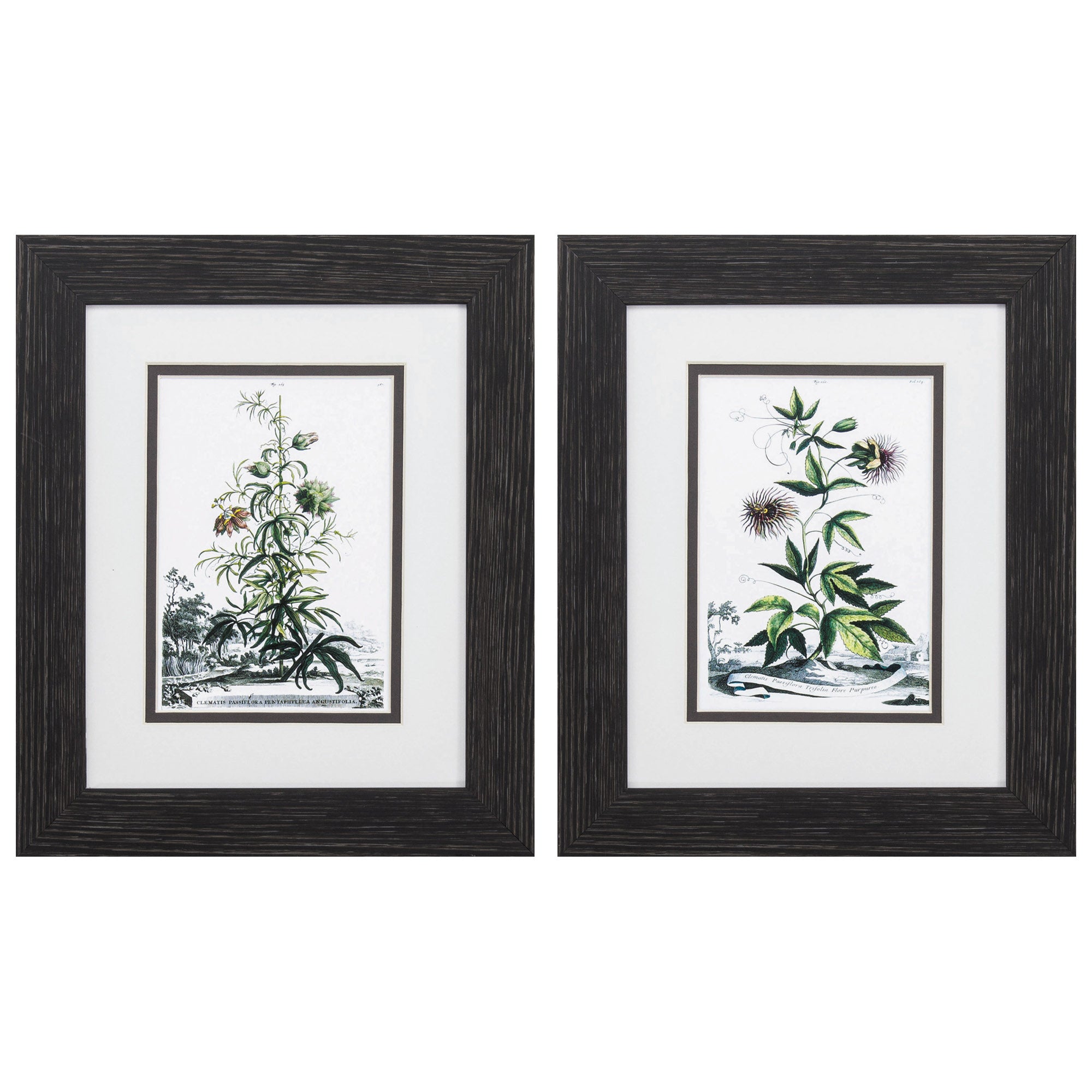 10" X 12" Distressed Black Frame Munting Garden (Set of 2)