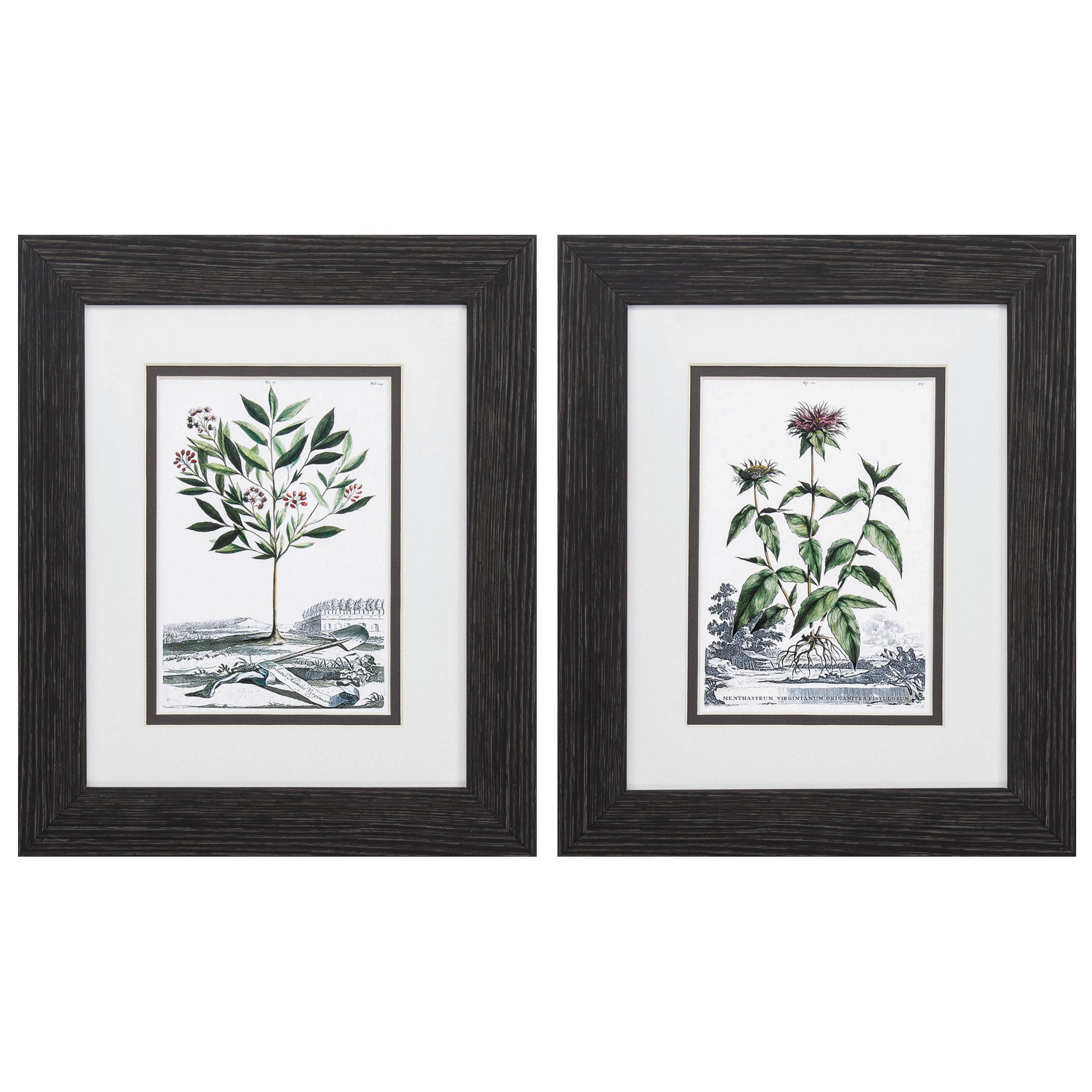 10" X 12" Distressed Black Frame Munting Garden (Set of 2)