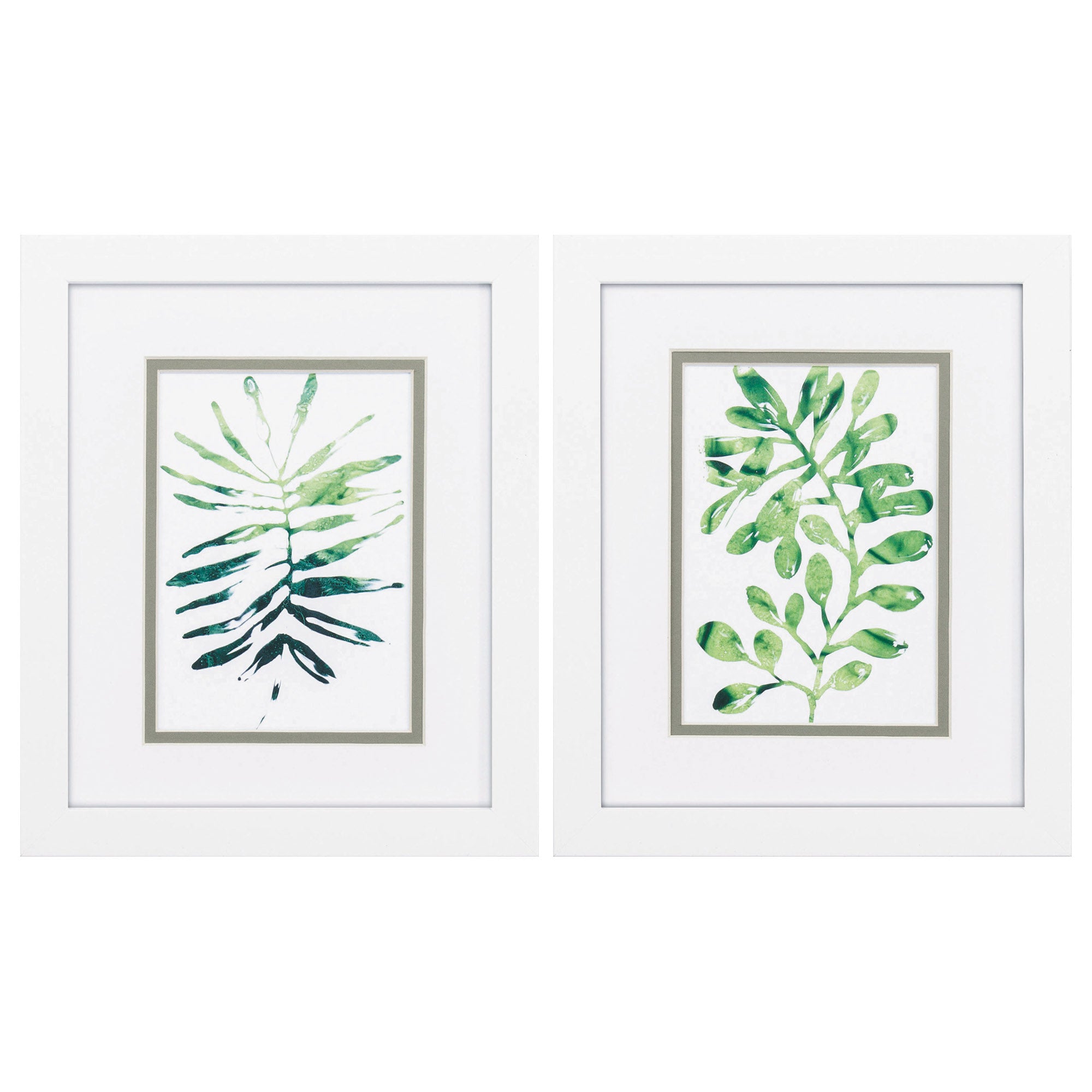 9" X 11" Matte White Frame Emerald Tropics (Set of 2)