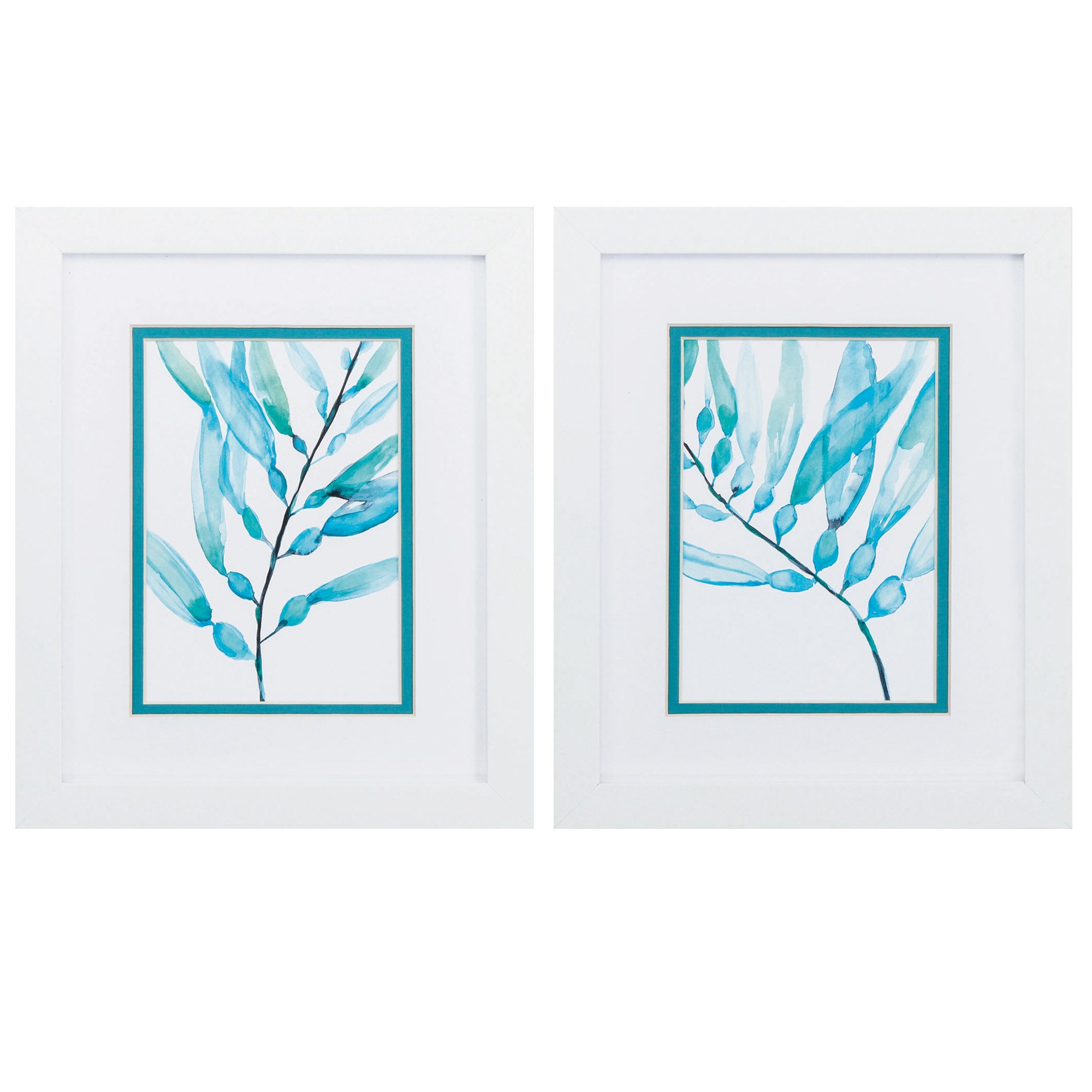 9" X 11" Matte White Frame Watercolor Kelp (Set of 2)