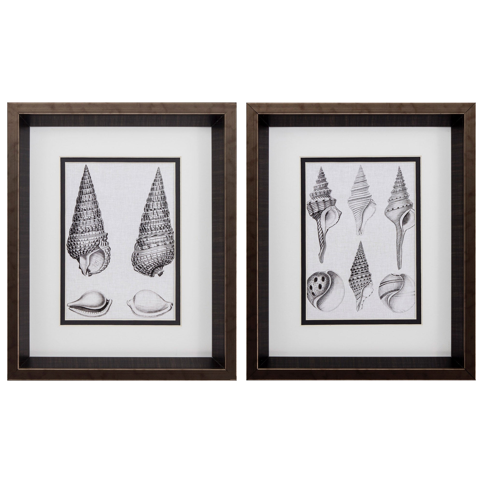 10" X 12" Brushed Silver Frame Charcoal Shells (Set of 2)