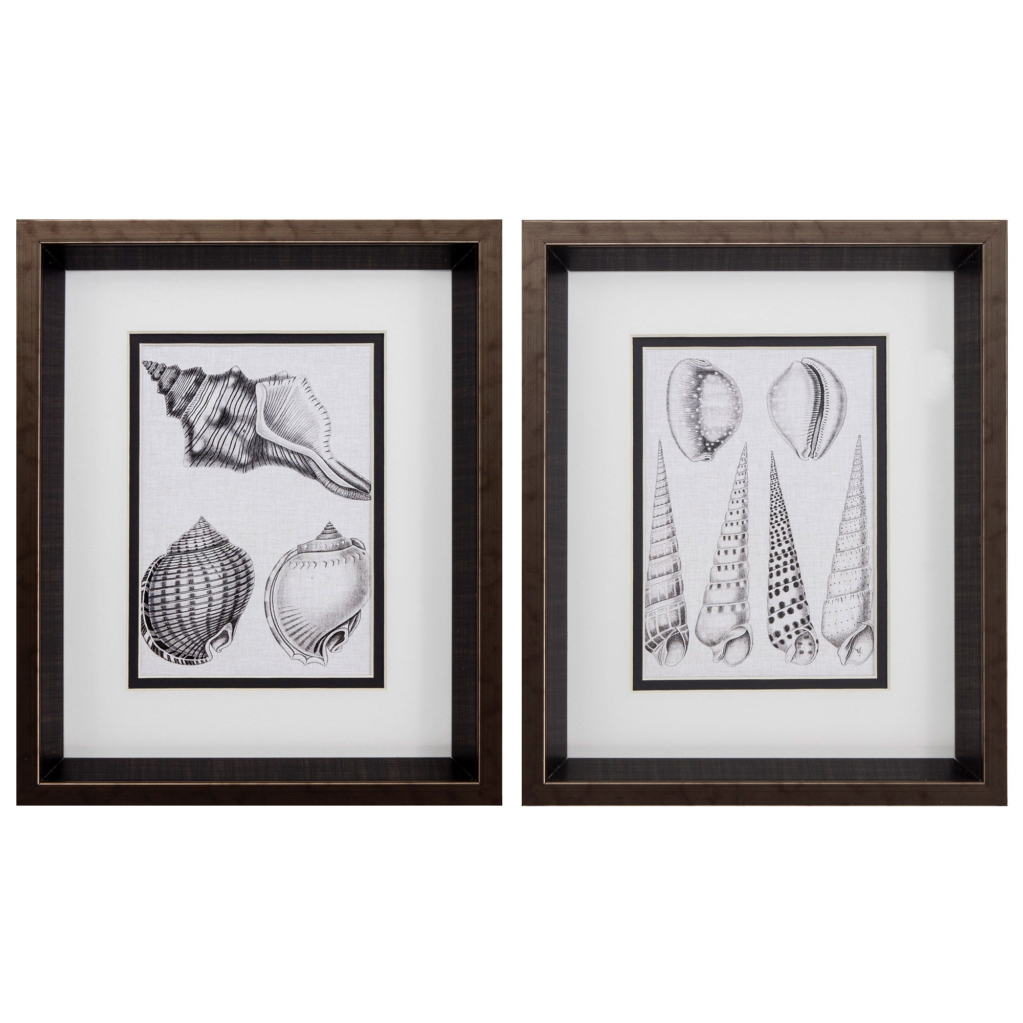 10" X 12" Brushed Silver Frame Charcoal Shells (Set of 2)