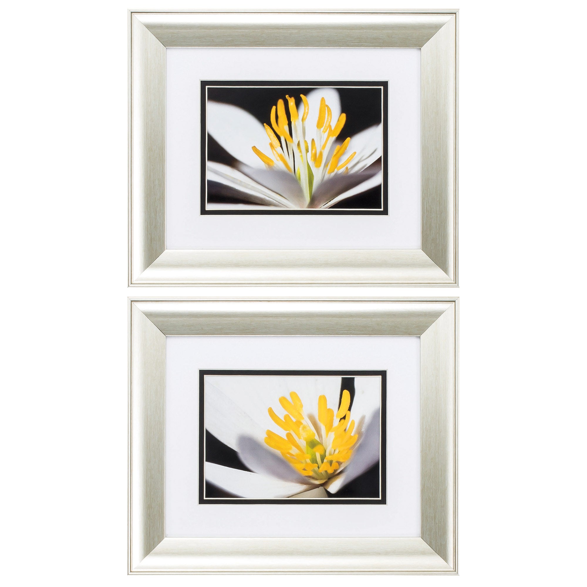 13" X 11" Aged Silver Frame White Poccoon (Set of 2)