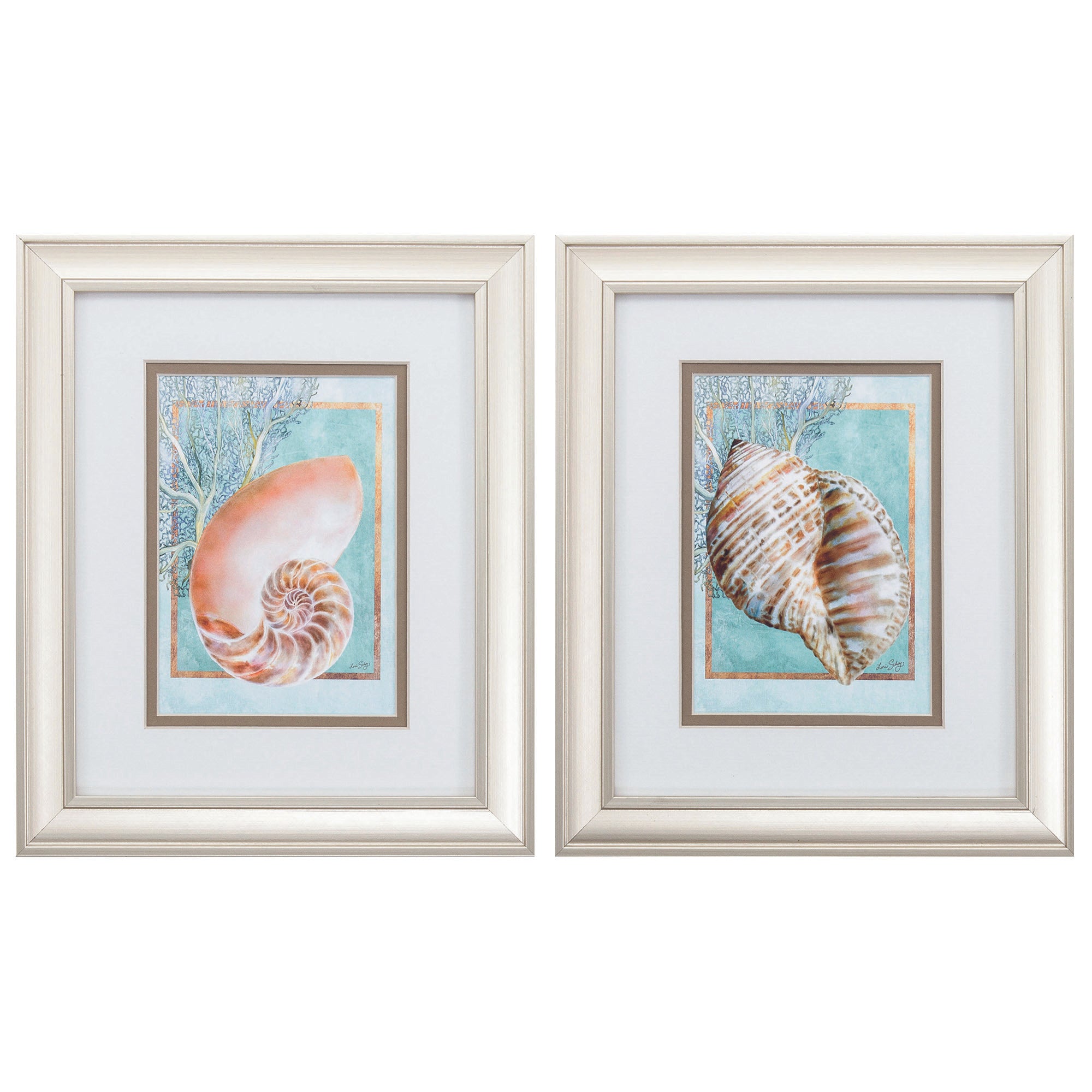 10" X 12" Champagne Gold Color Frame  Nautilus Turban (Set of 2)