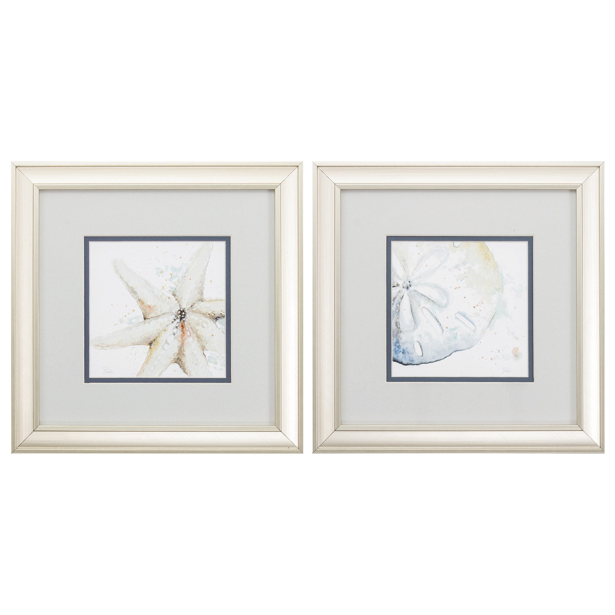 12" X 12" Champagne Gold Color Frame  Starfish Sand Dollar (Set of 2)