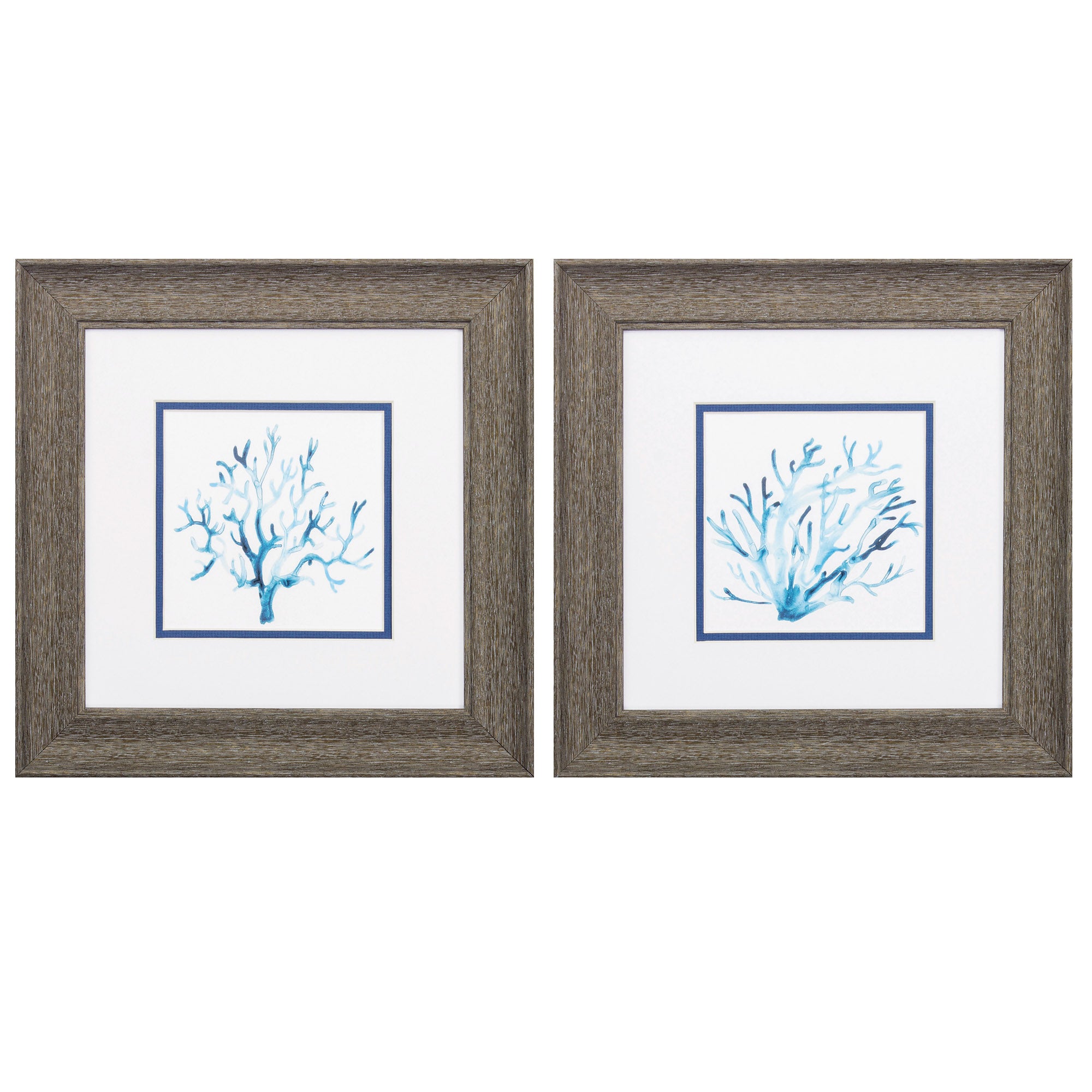 13" X 13" Distressed Wood Toned Frame Azure Seafan (Set of 2)