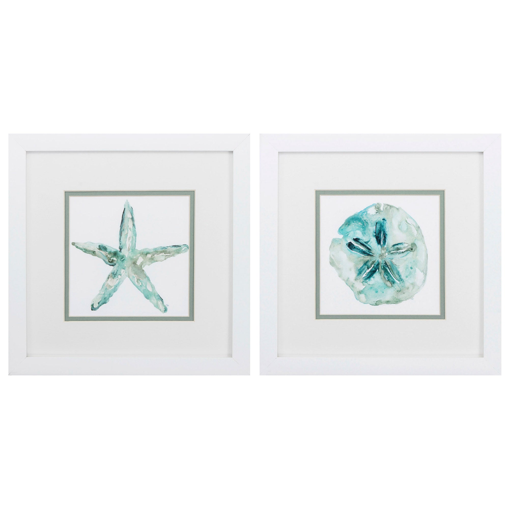 11" X 11" Matte White Frame Sandstar (Set of 2)