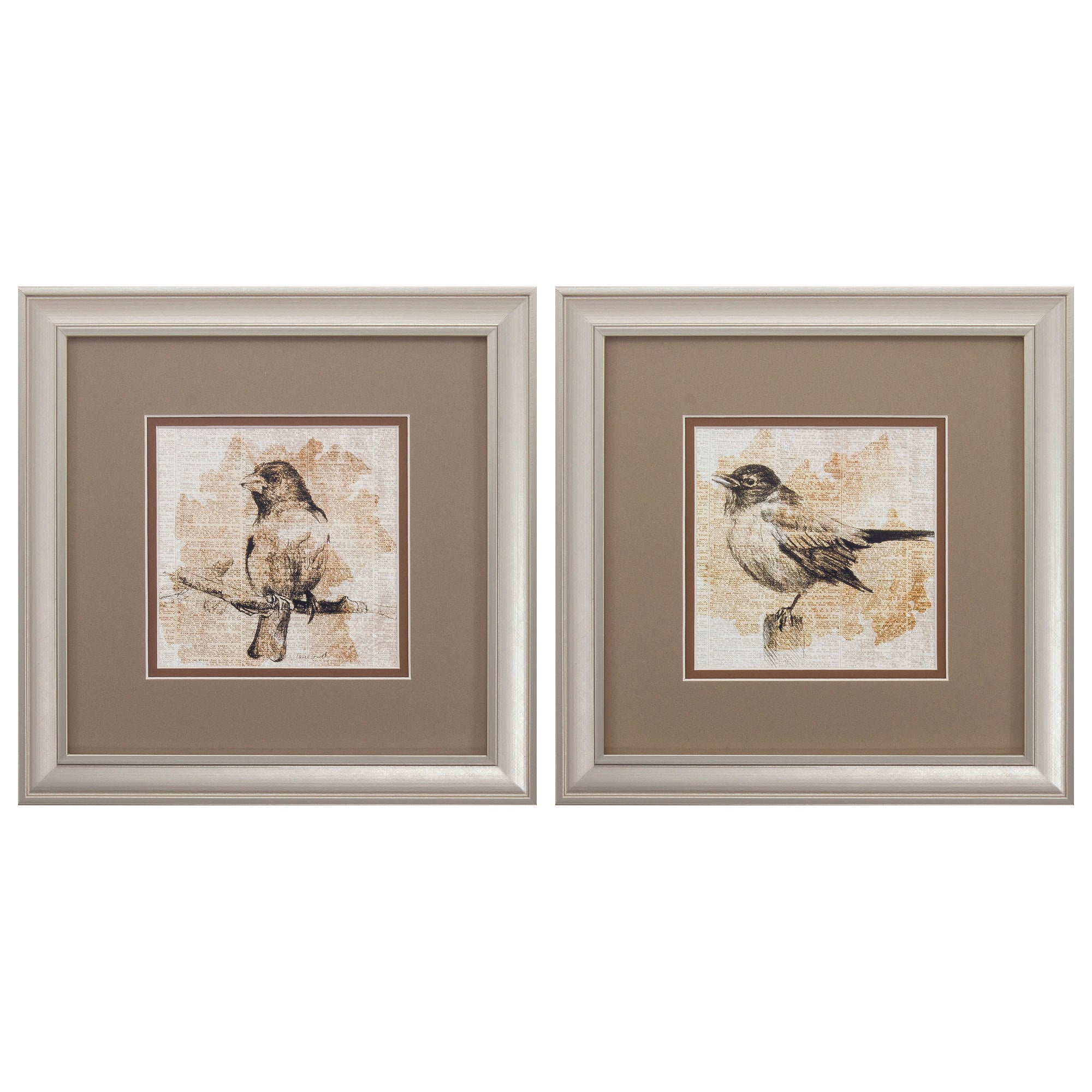 12" X 12" Champagne Gold Color Frame  Bird Sketch (Set of 2)