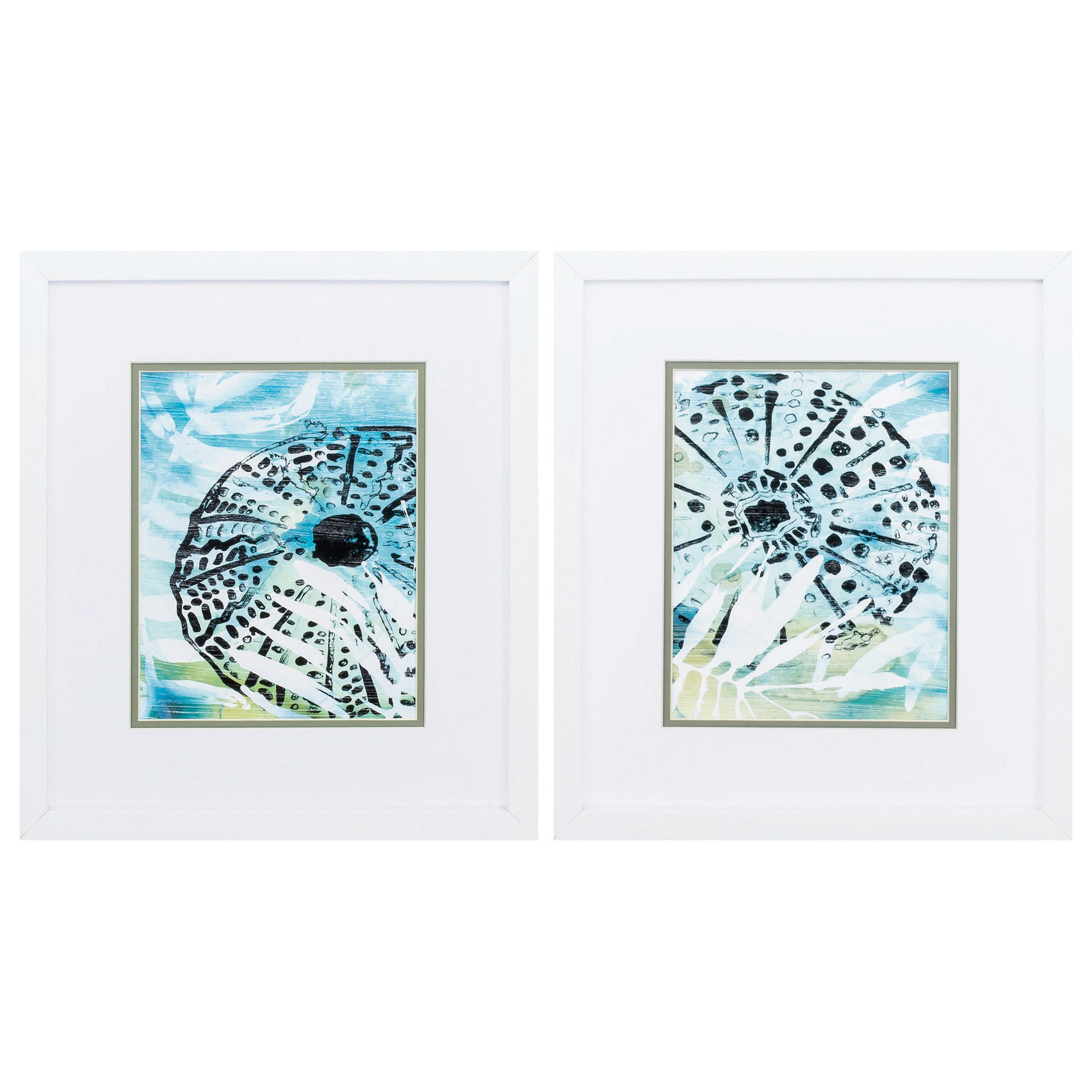 14" X 16" Matte White Frame Echinoidia (Set of 2)