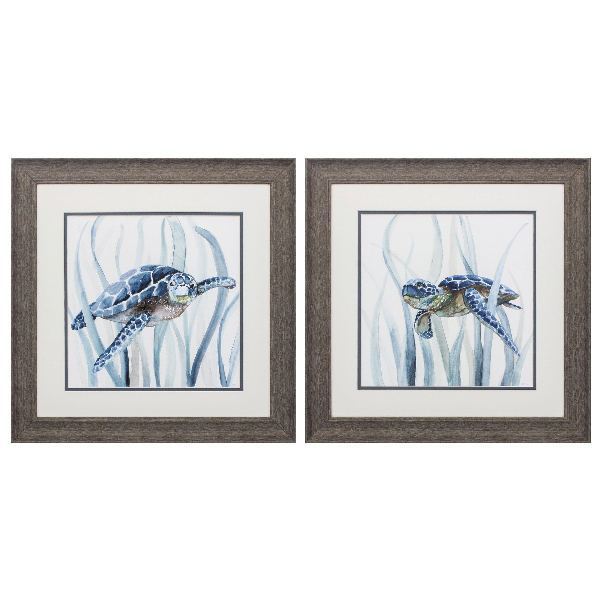19" X 19" Distressed Wood Toned Frame Turtle In Grass (Set of 2)