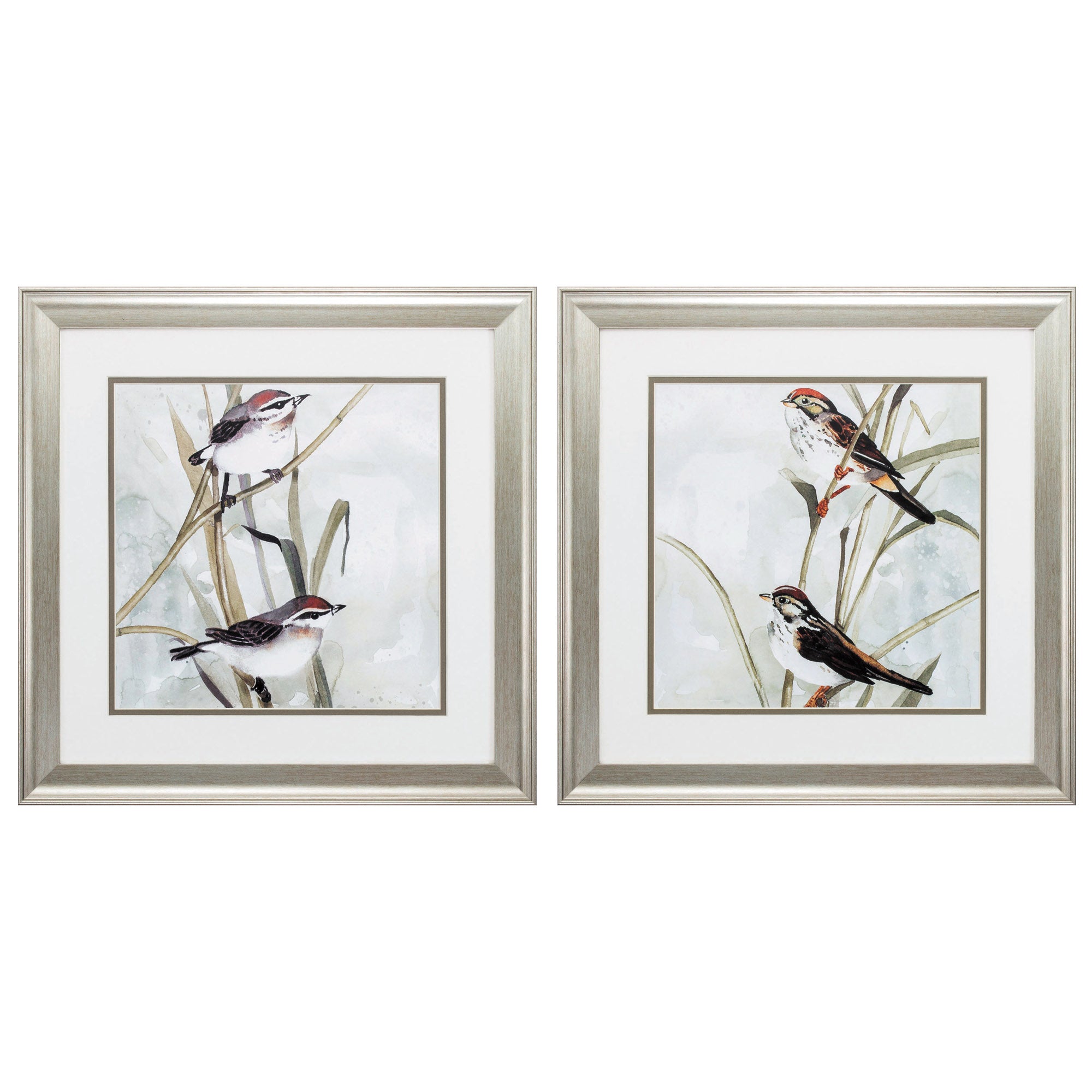 19" X 19" Brushed Silver Frame Neutral Spring (Set of 2)