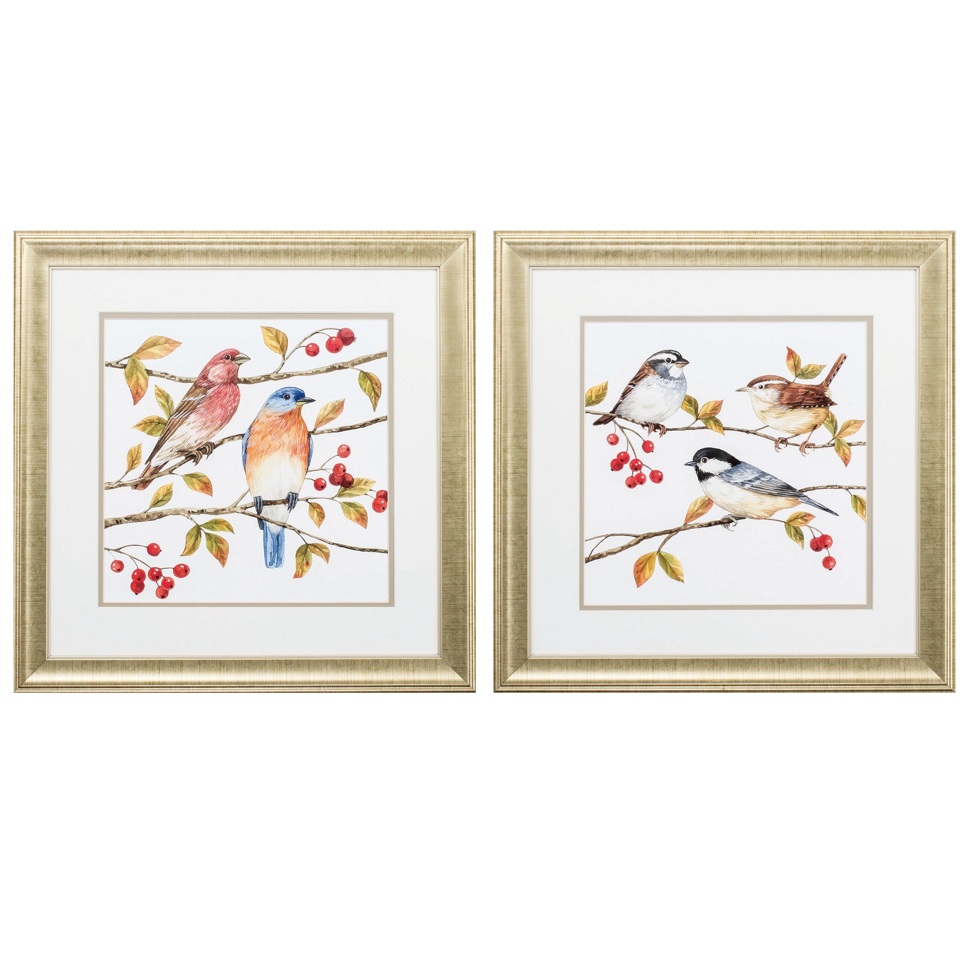 19" X 19" Gold Frame Birds & Berries (Set of 2)