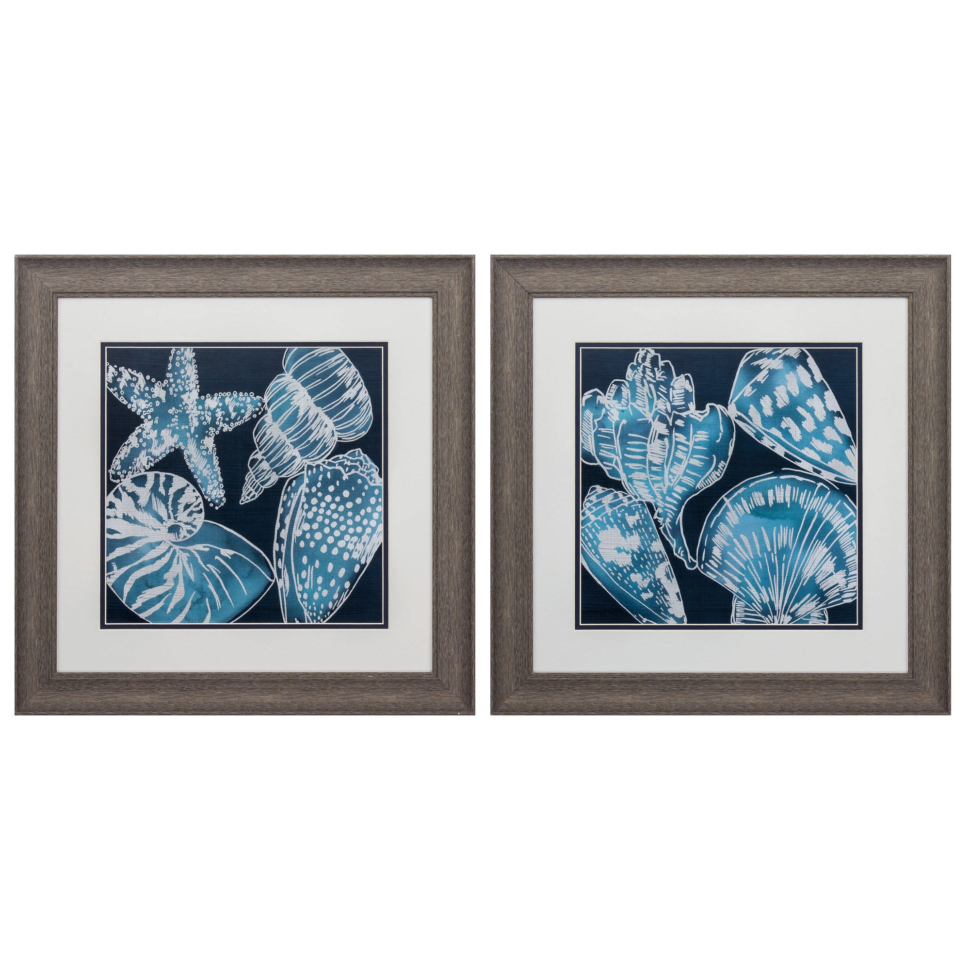 19" X 19" Distressed Wood Toned Frame Marine Shells (Set of 2)