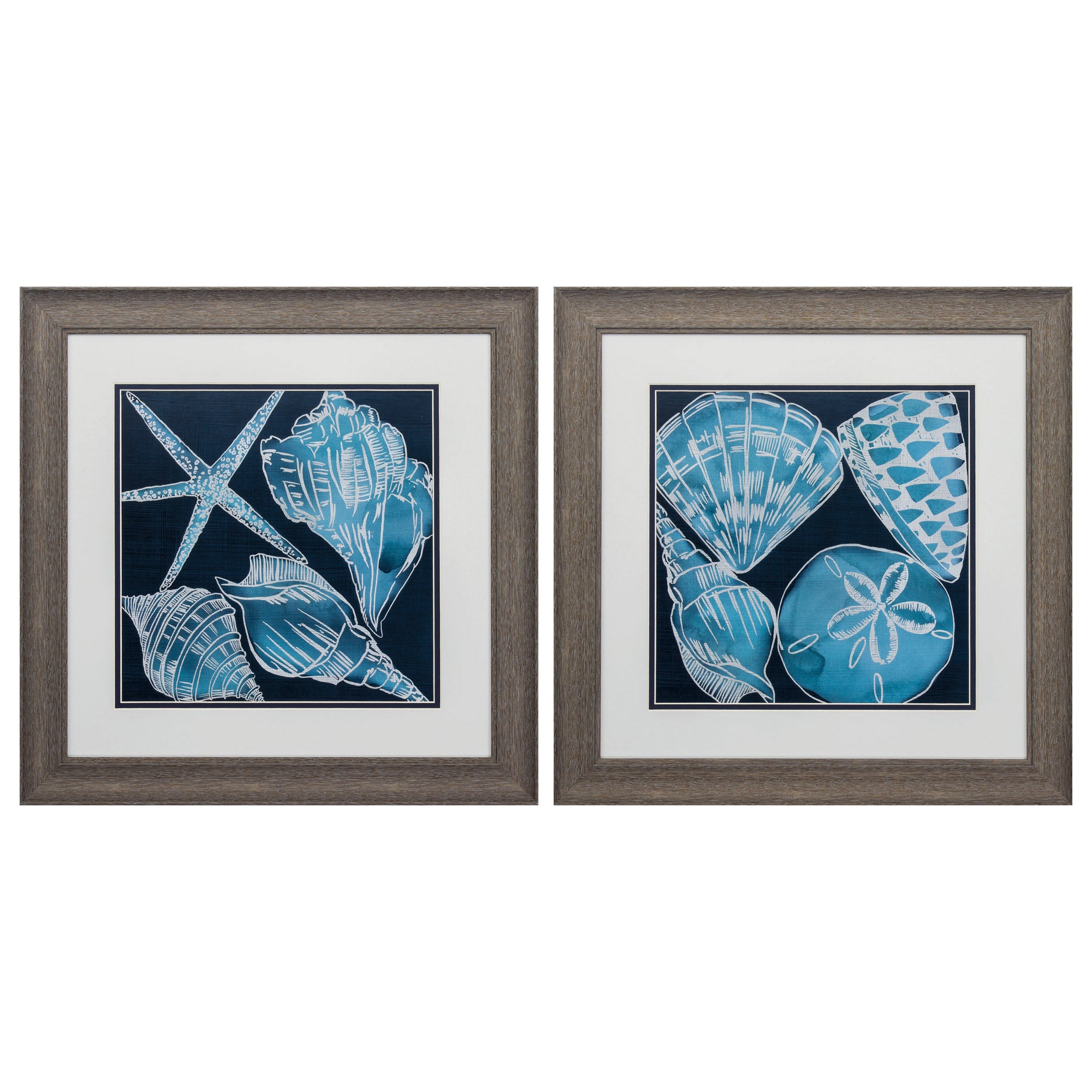 19" X 19" Distressed Wood Toned Frame Marine Shells (Set of 2)