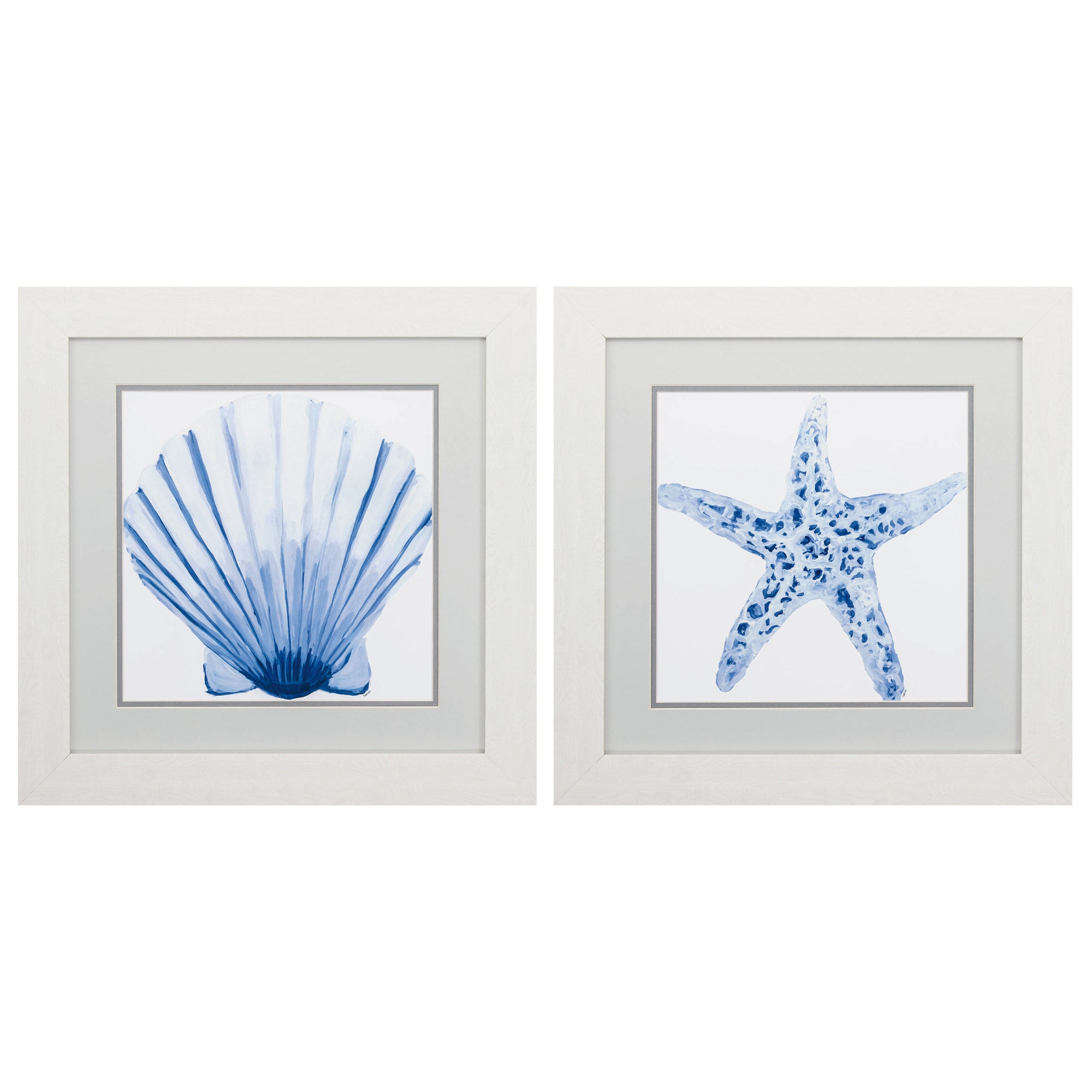 19" X 19" White Frame Fan Shell Starfish (Set of 2)
