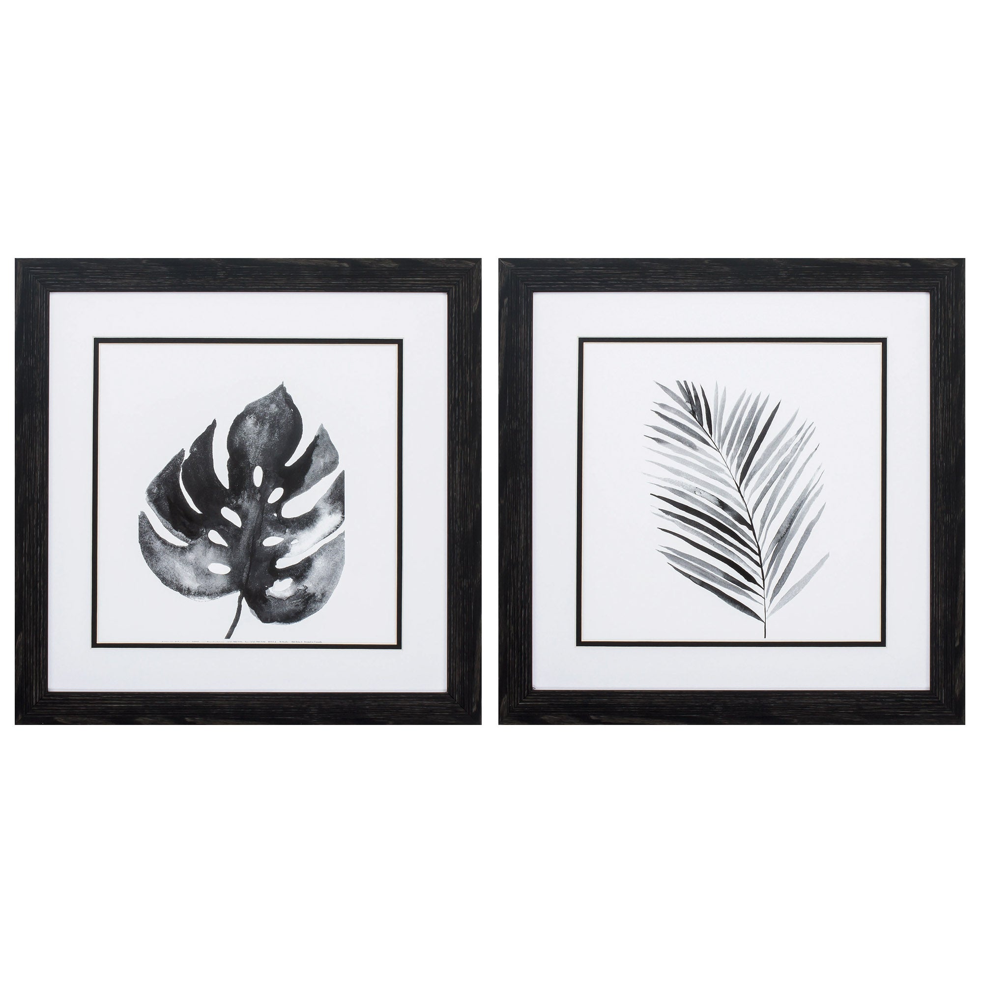 18" X 18" Distressed Black Frame Bw Palm (Set of 2)