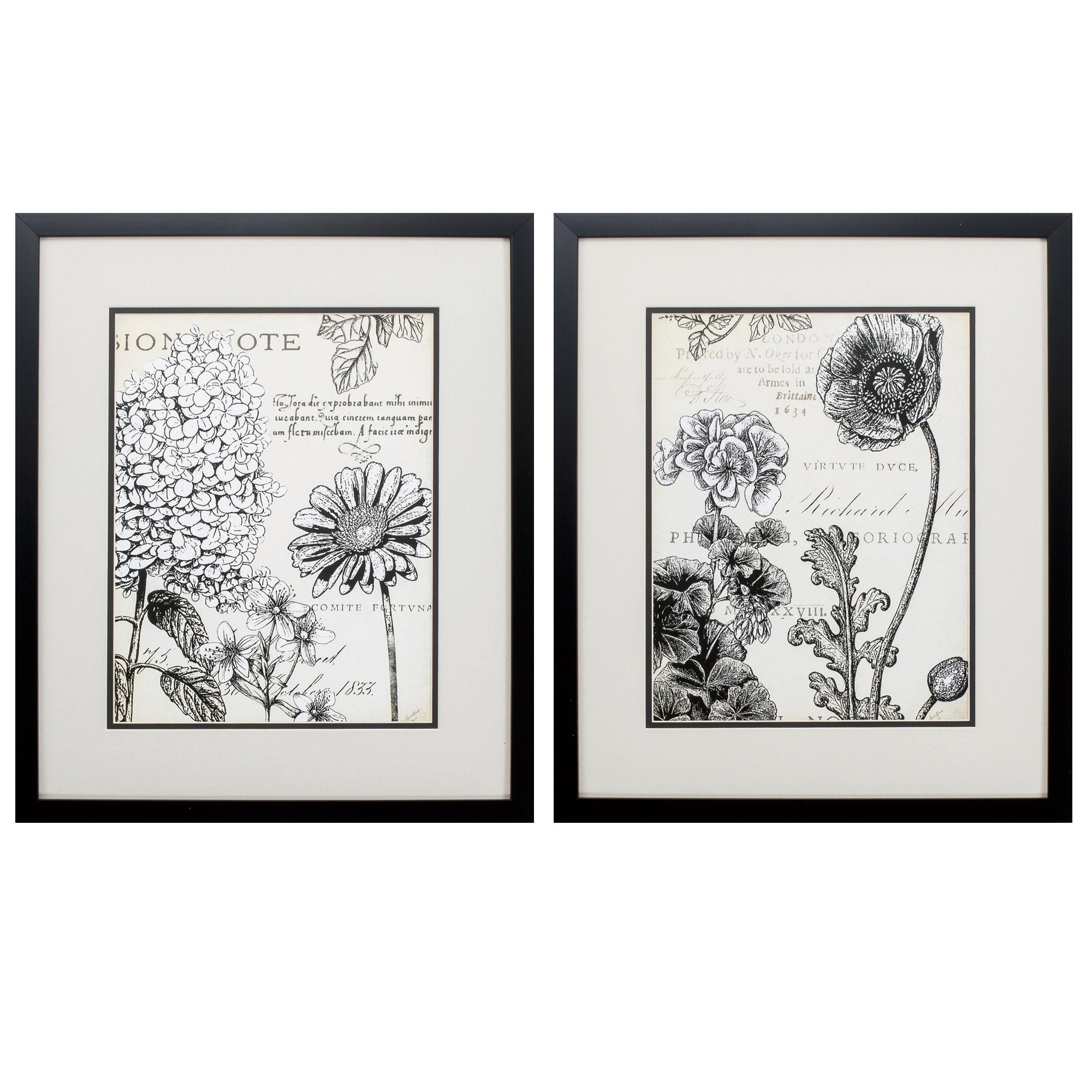 17" X 20" Silver Frame Pen Ink Floral Study (Set of 2)