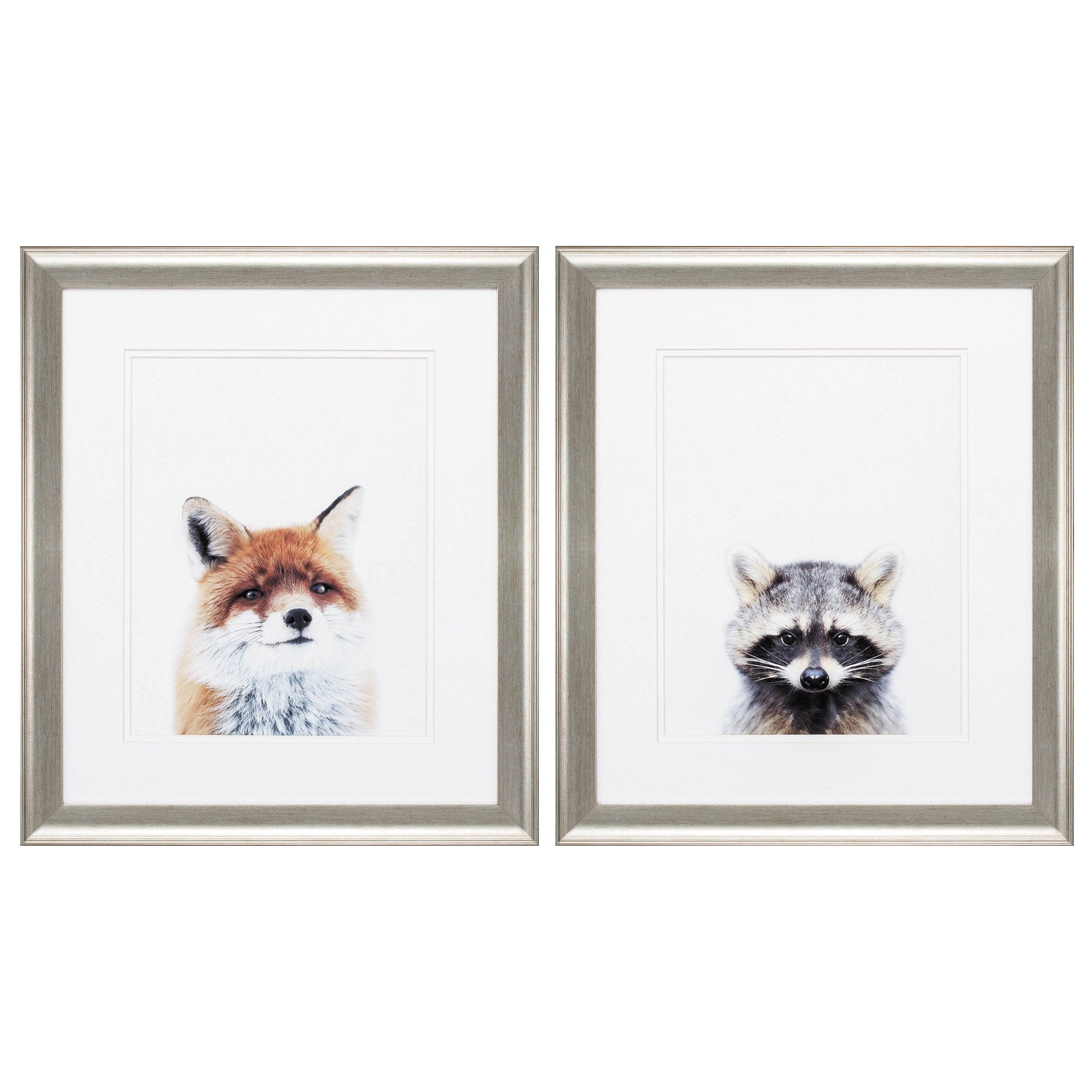 19" X 22" Brushed Silver Frame Fox Racoon (Set of 2)