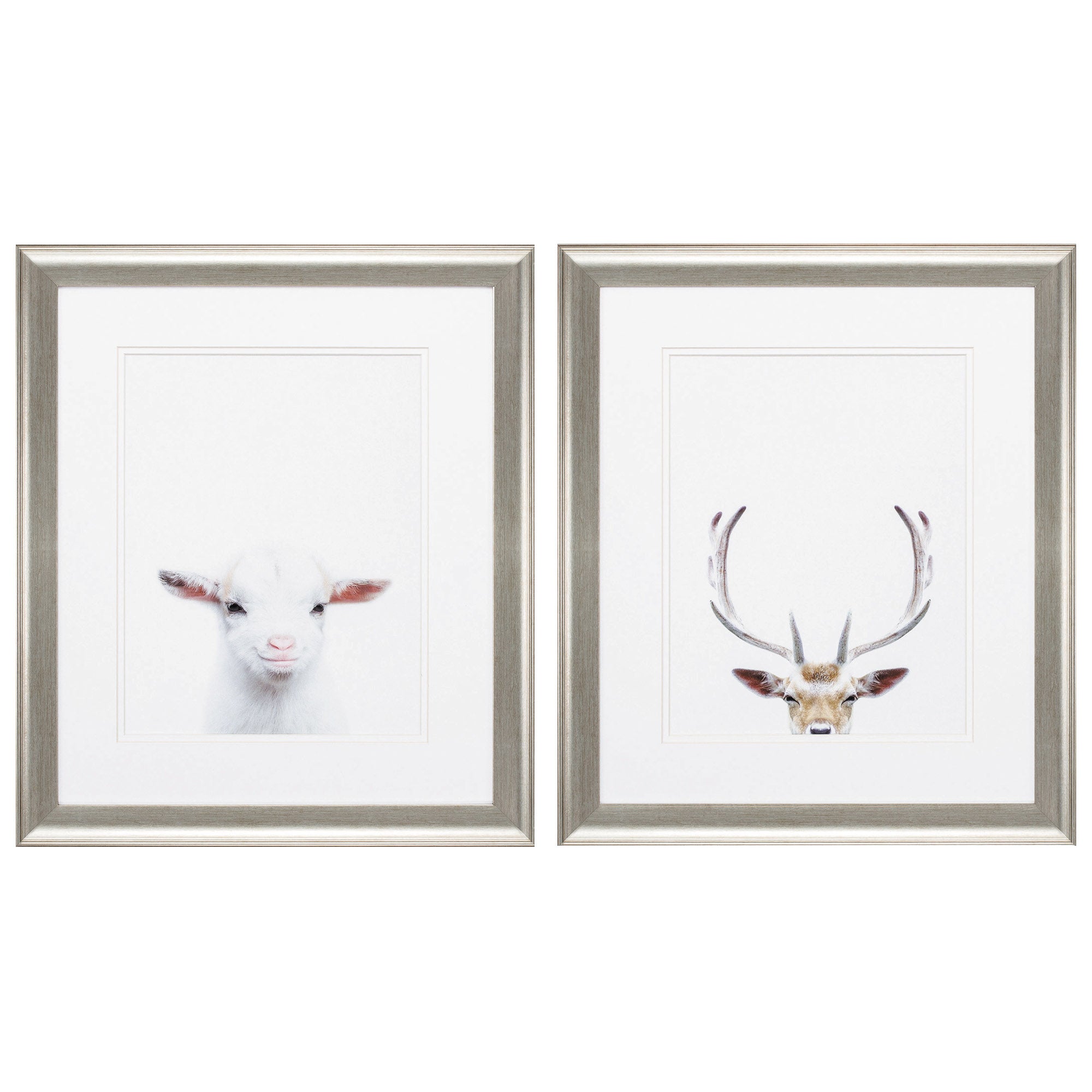 19" X 22" Brushed Silver Frame Goat Deer (Set of 2)