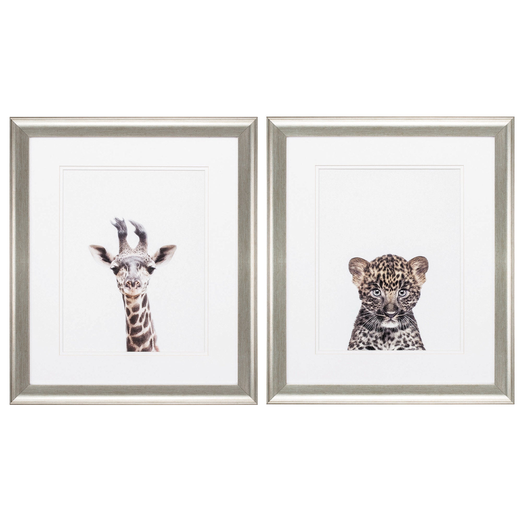19" X 22" Brushed Silver Frame Giraffe Leopard (Set of 2)