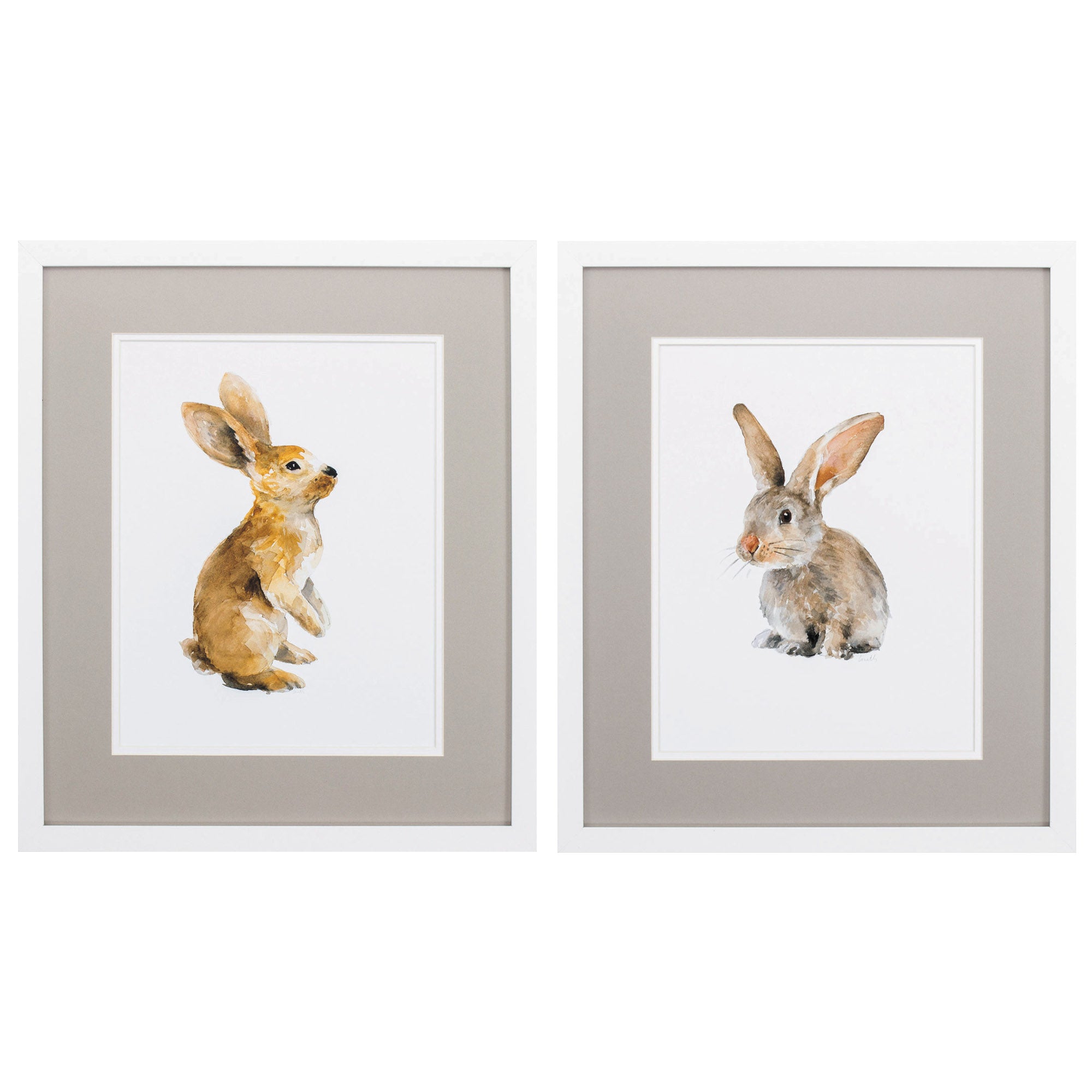 17" X 20" Matte White Frame Meadow Buddy (Set of 2)