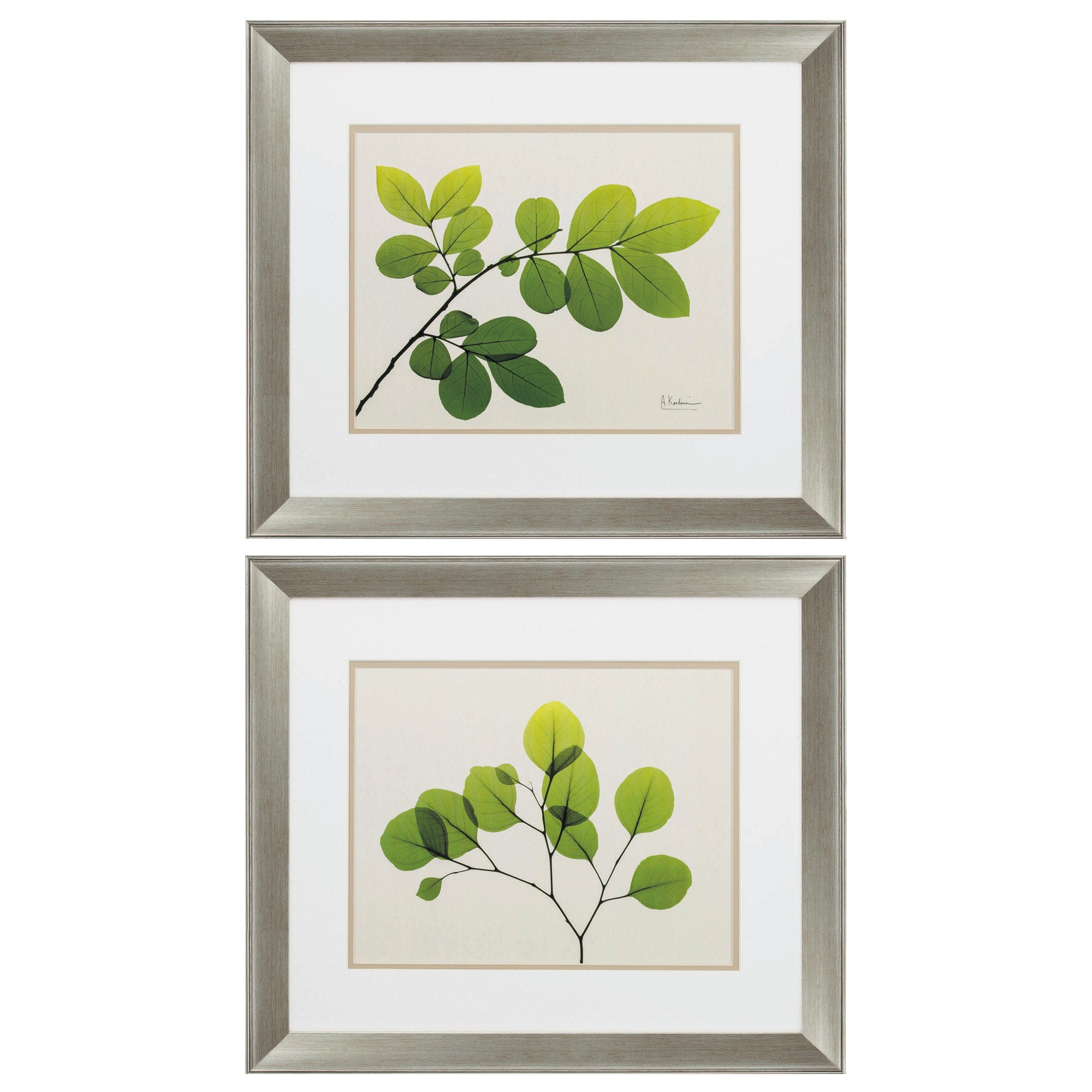 22" X 19" Brushed Silver Frame Natural Greenery (Set of 2)