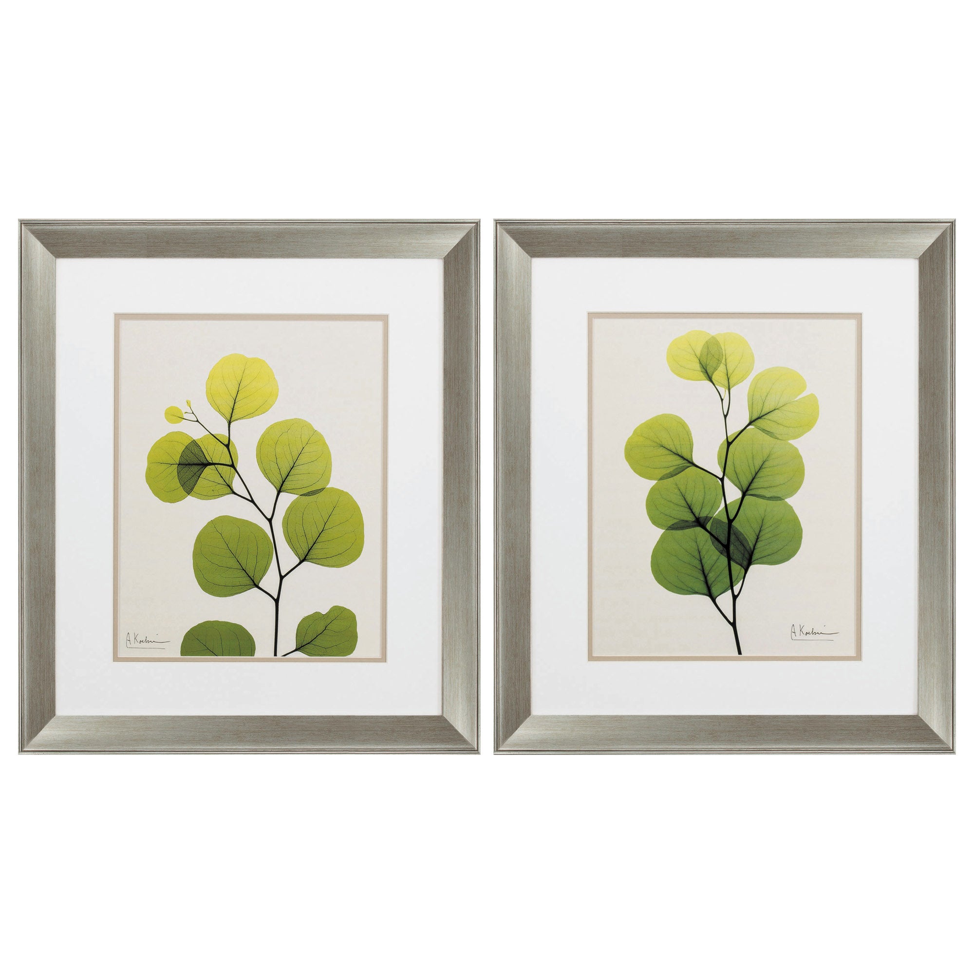 19" X 22" Brushed Silver Frame Natural Greenery (Set of 2)