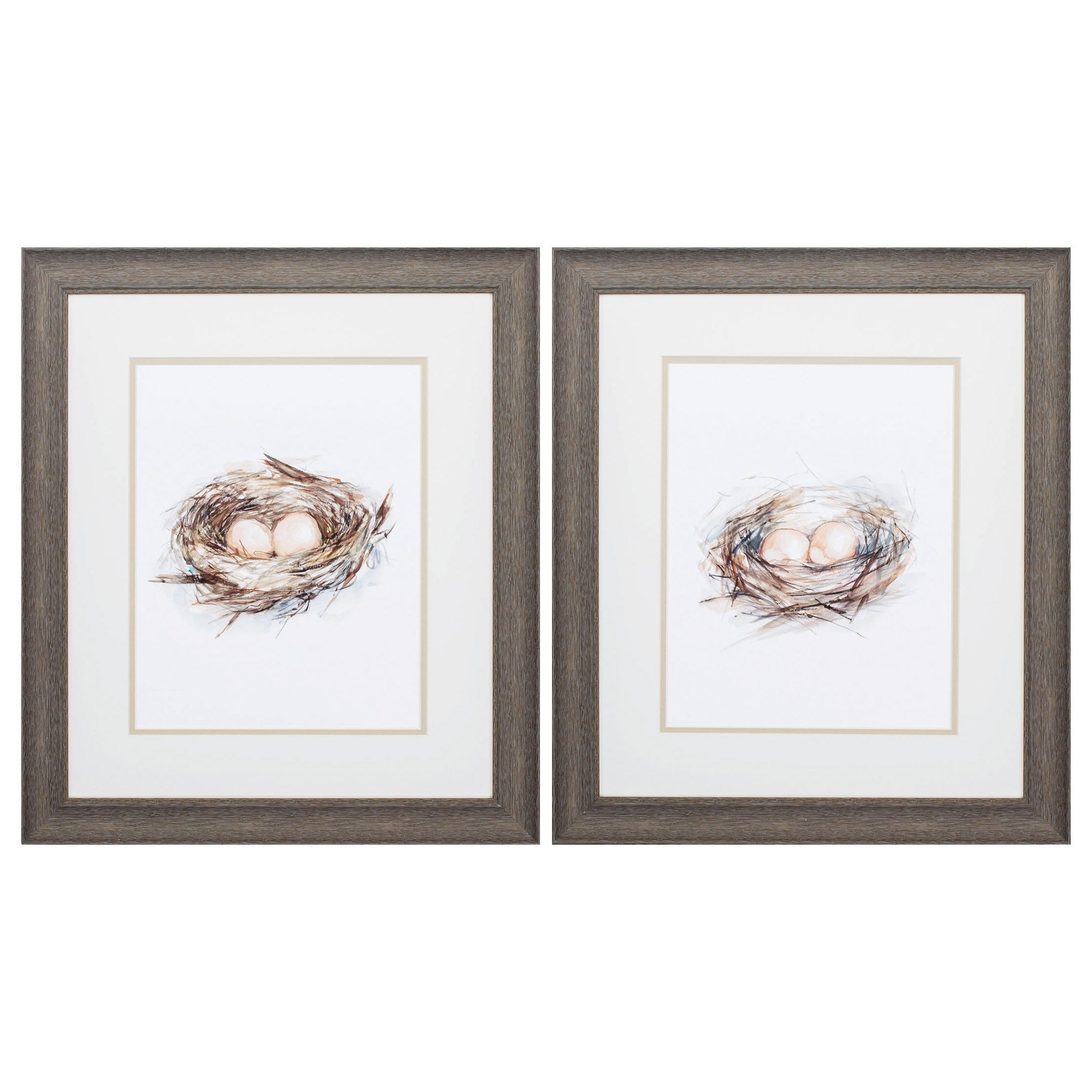 19" X 22" Distressed Wood Toned Frame Bird Life (Set of 2)