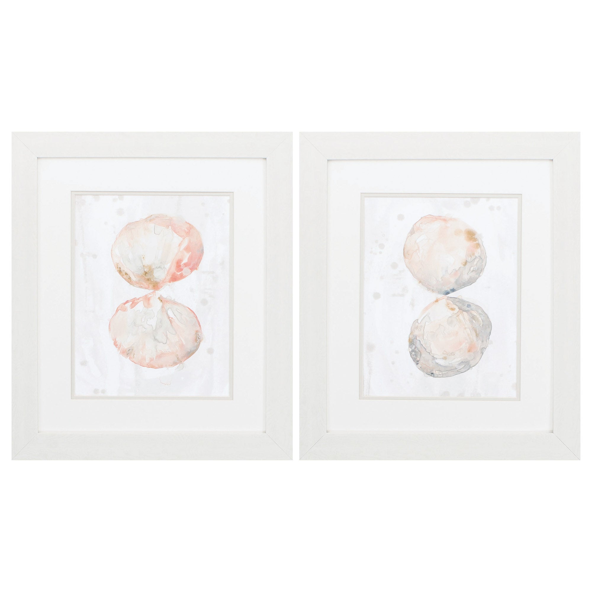 19" X 22" White Frame Muted Molusk Set of 2