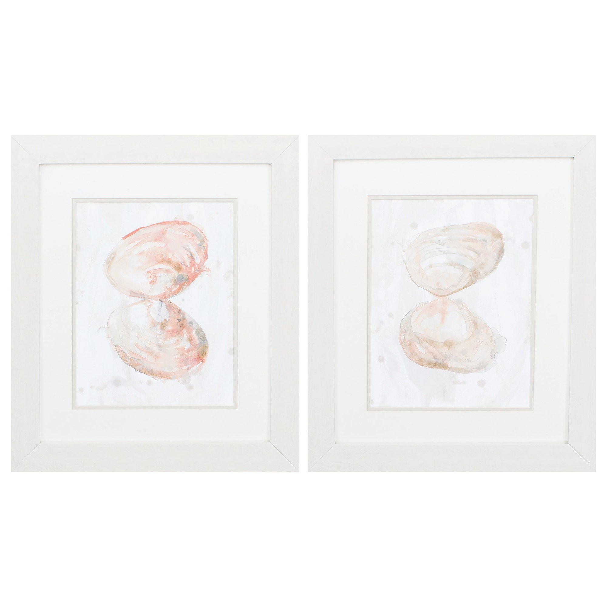 19" X 22" White Frame Muted Molusk (Set of 2)
