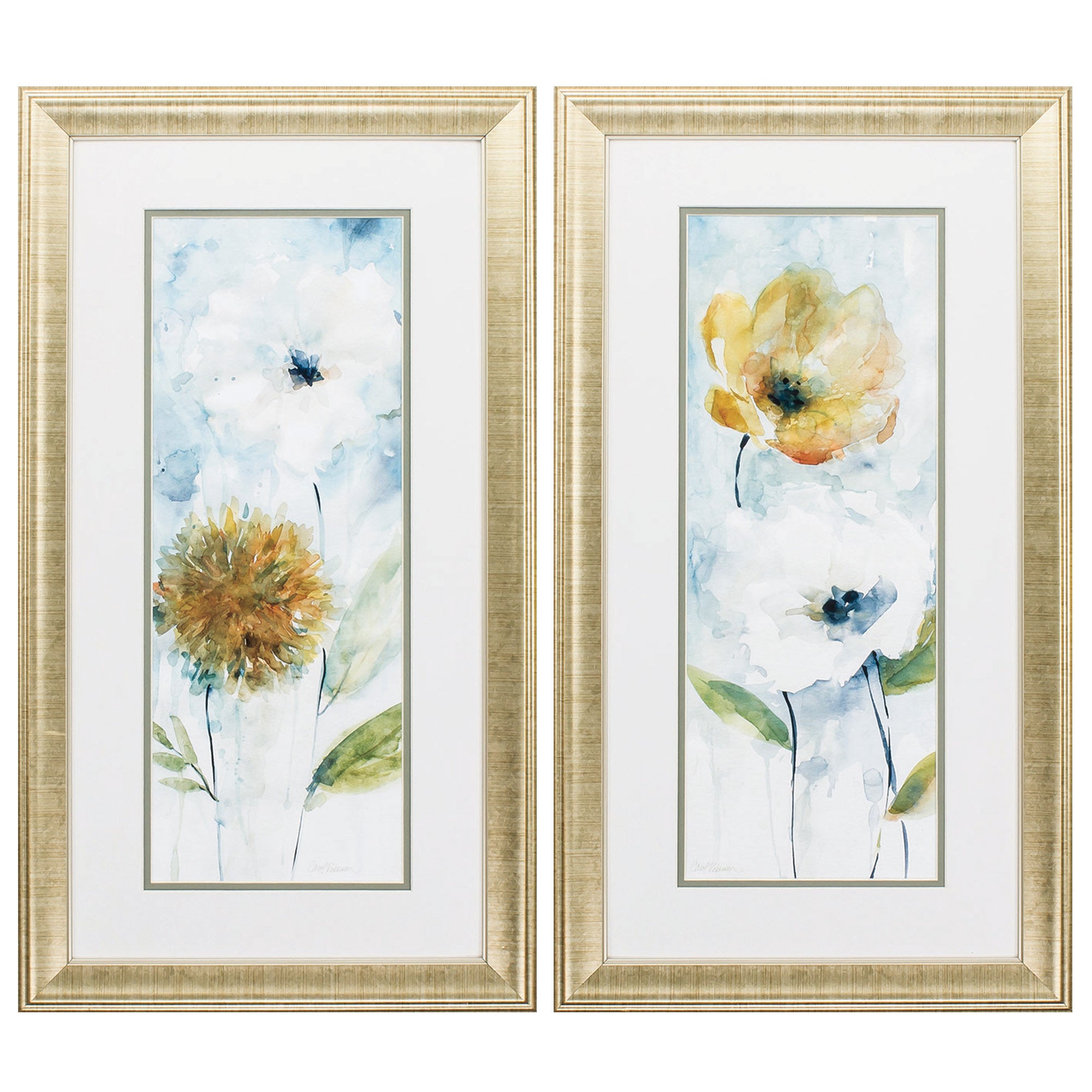 15" X 27" Gold Frame Holland Spring Bloom (Set of 2)