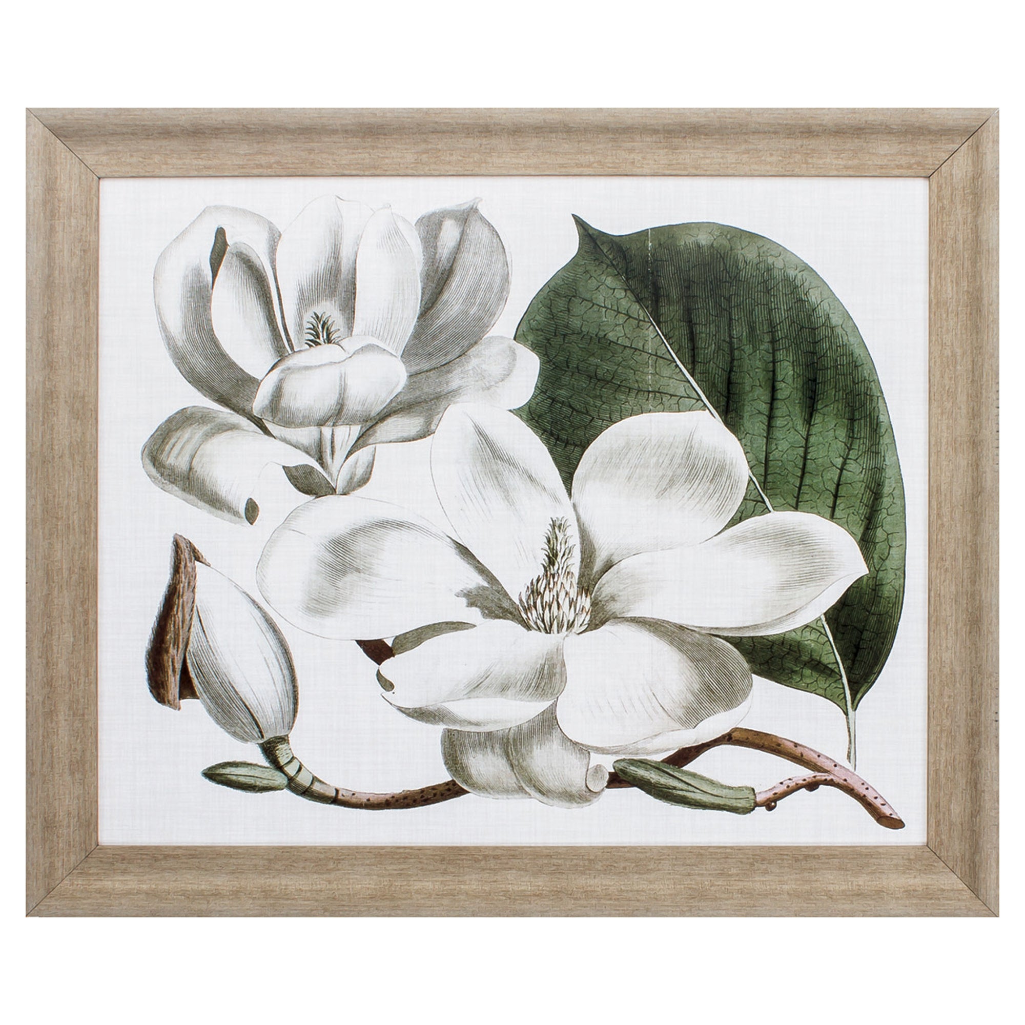 31" X 26" Champagne Color Frame  Curtis Magnolia I