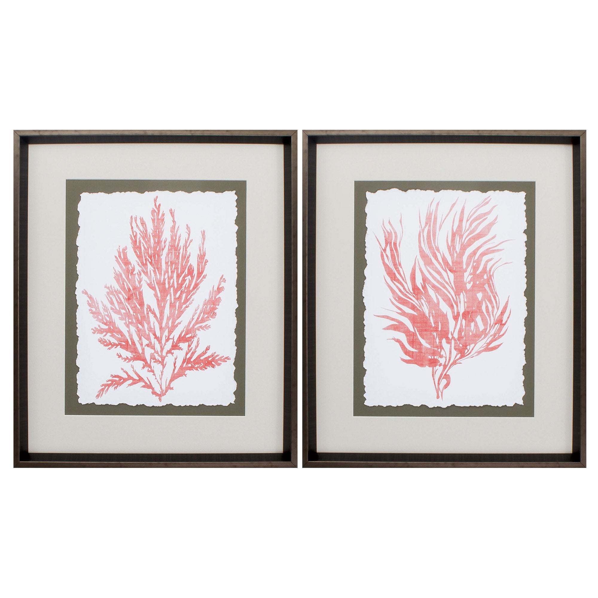 20" X 24" Brushed Silver Frame Ocean Feather (Set of 2)