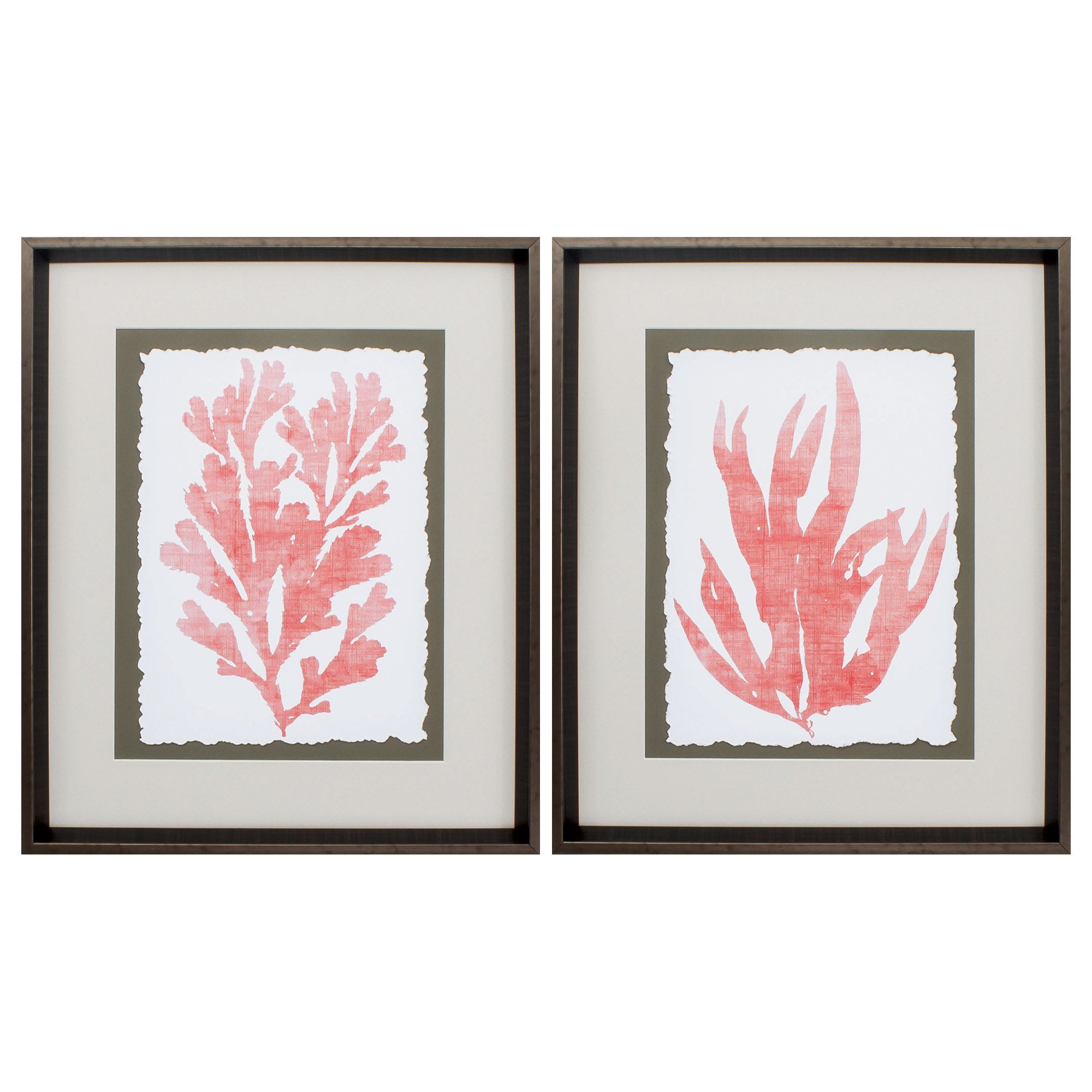 20" X 24" Brushed Silver Frame Ocean Feather (Set of 2)