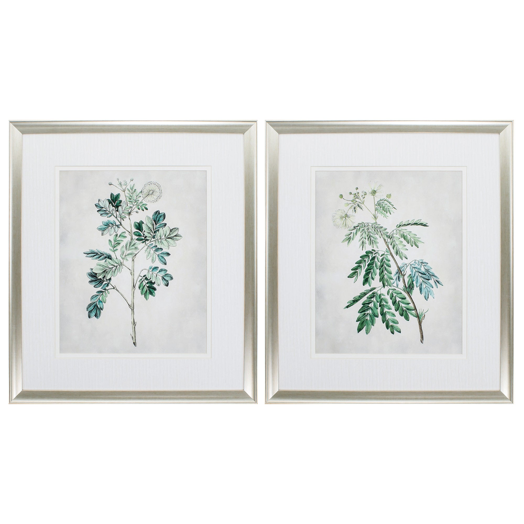 27" X 31" Brushed Silver Frame Acacia Tree (Set of 2)
