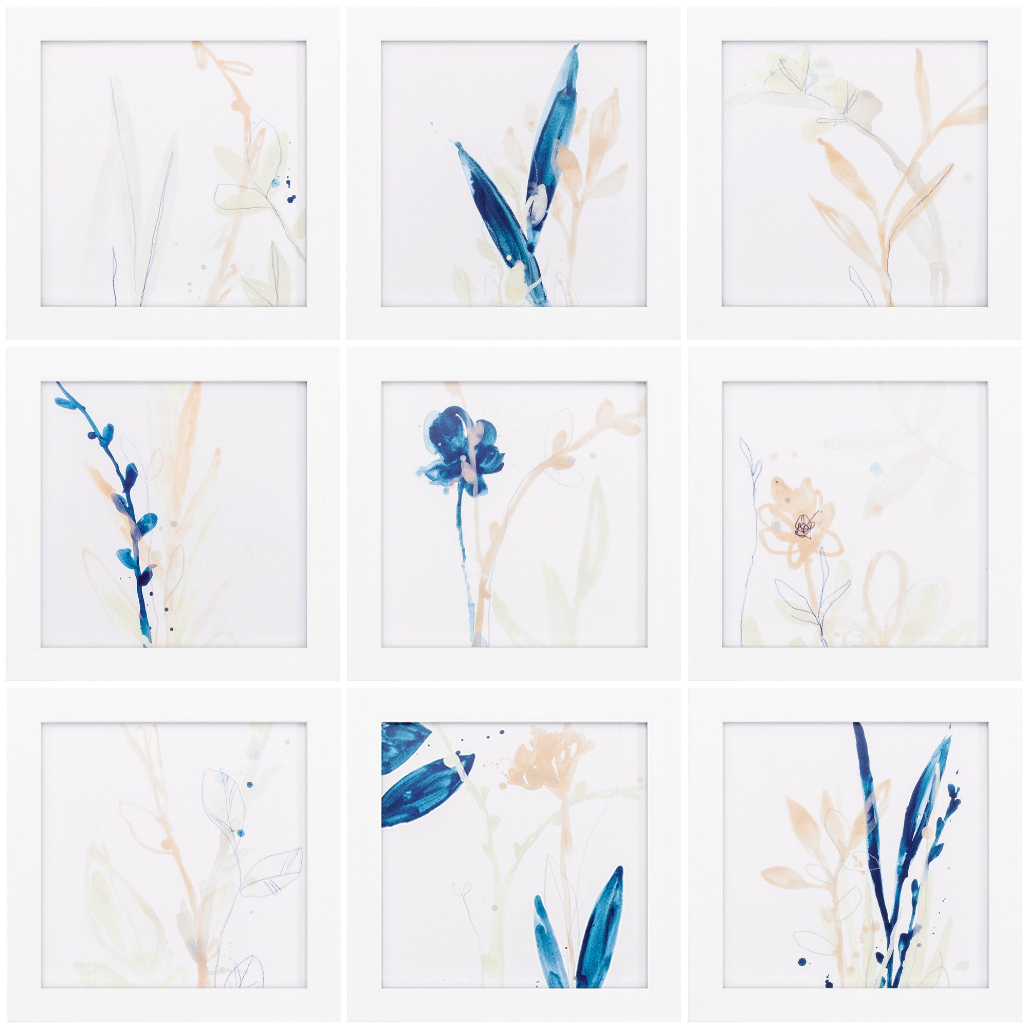 15" X 15" White Frame Botany Gesture Set of 9