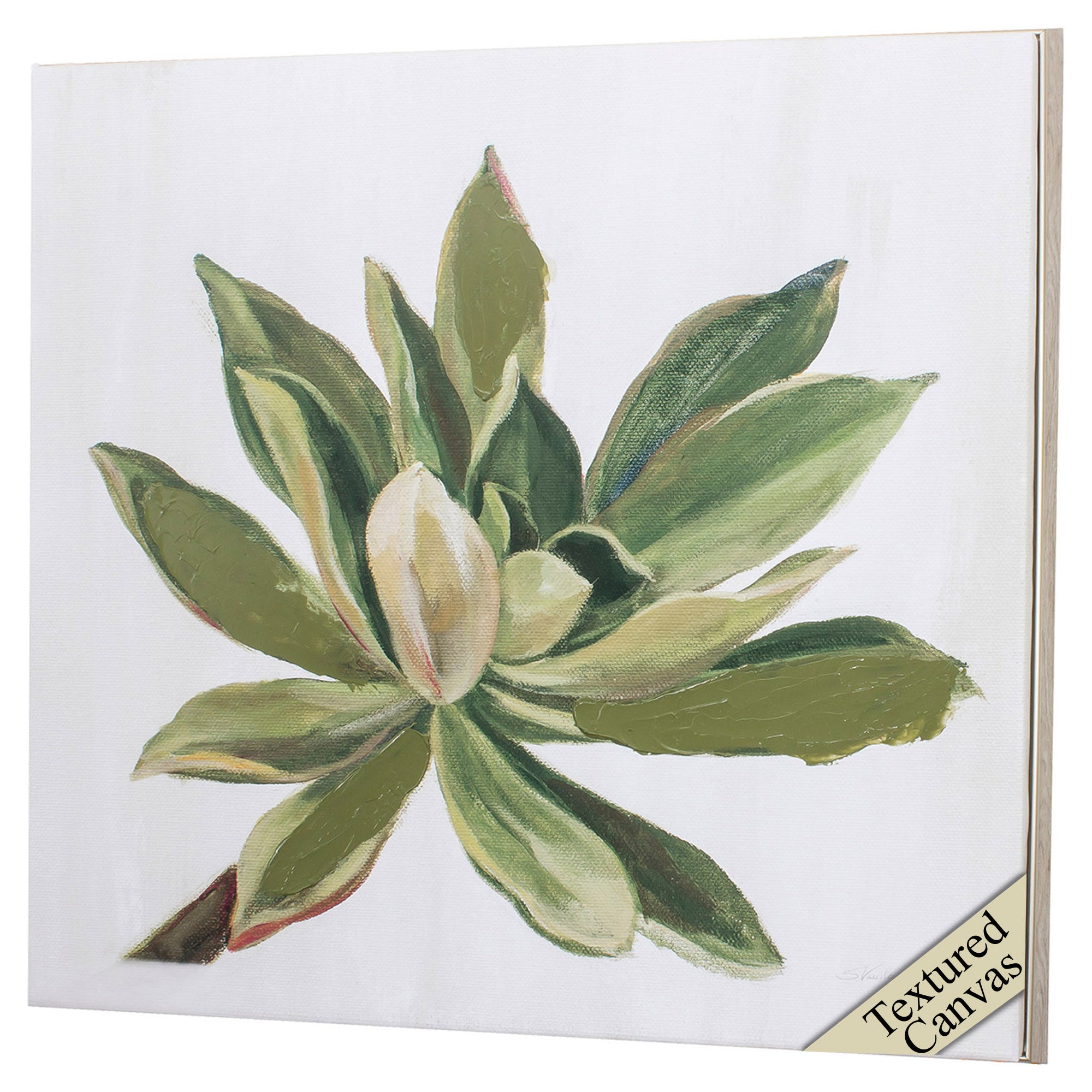 30" X 30" Ligth Wood Toned Frame Succulents I