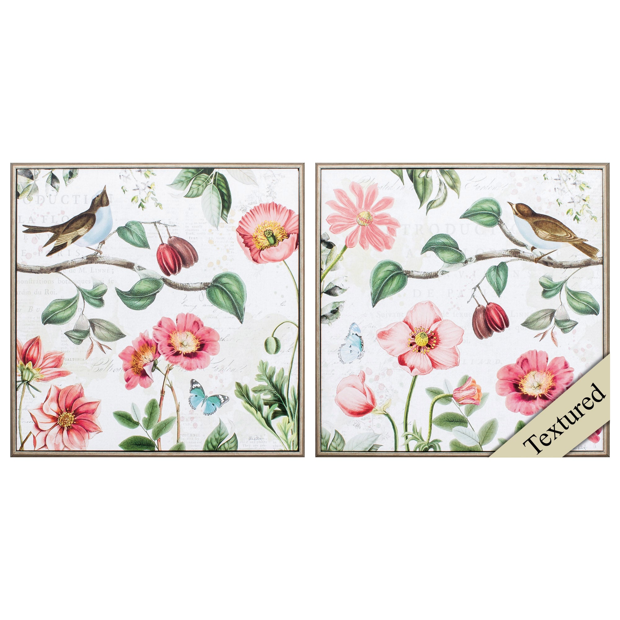 21" X 21" Champagne Color Frame  Studio Botanicals (Set of 2)