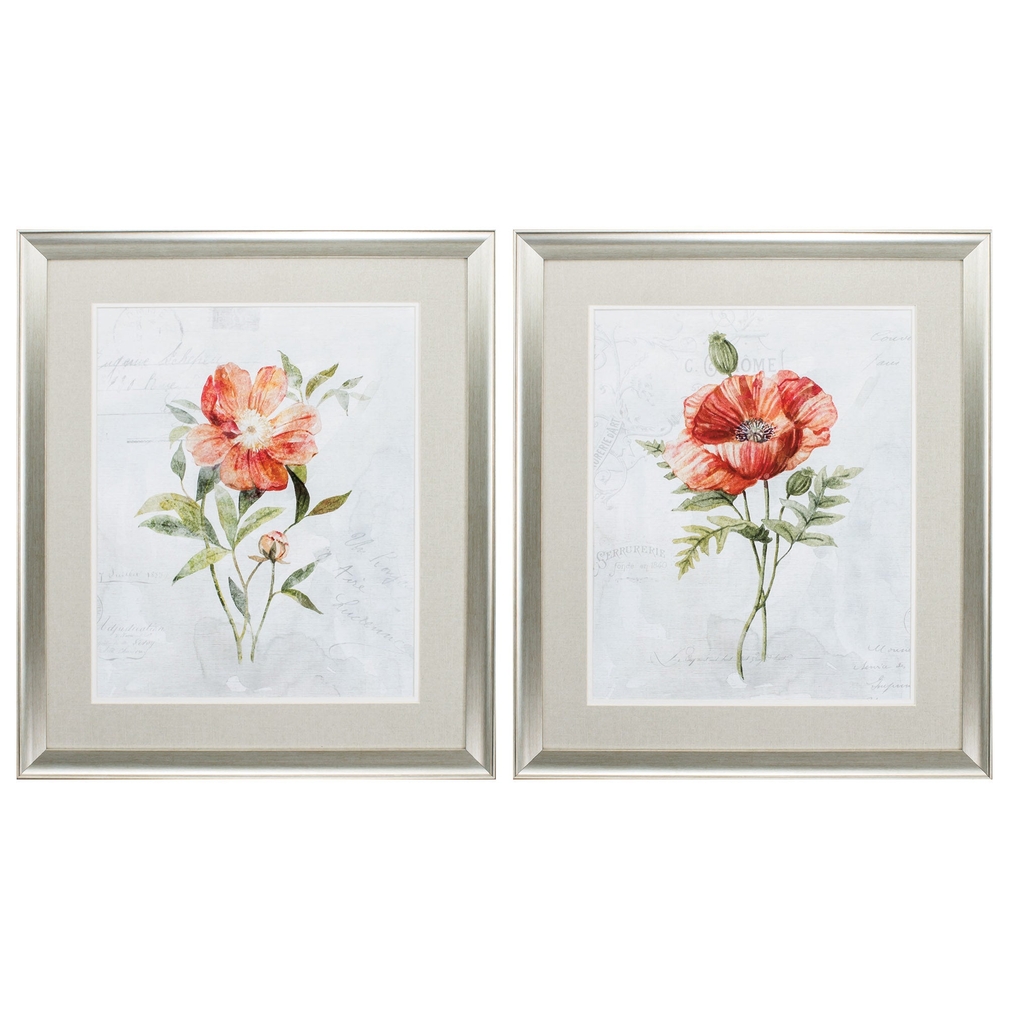 24" X 28" Brushed Silver Frame Peony Poppy (Set of 2)