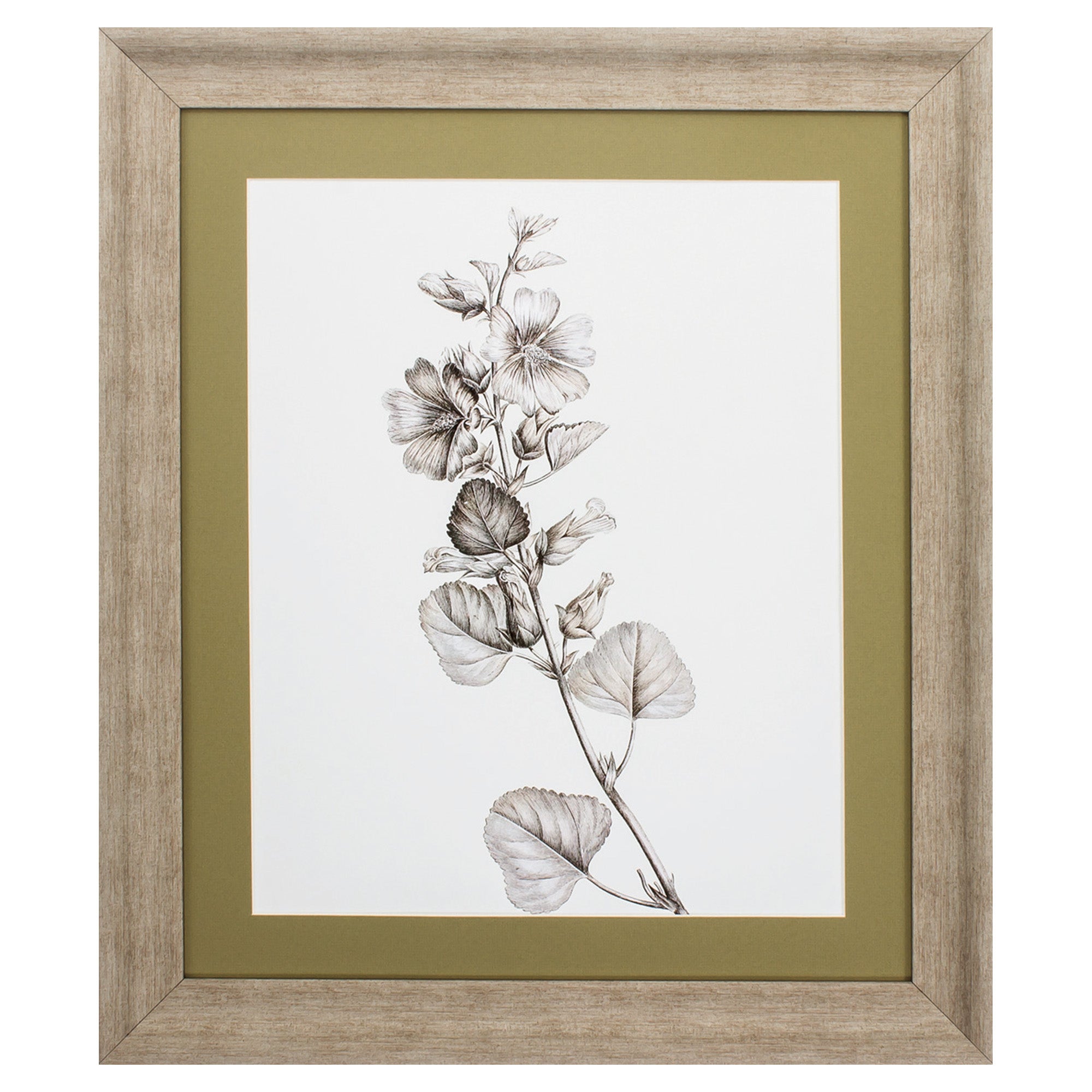 24" X 28" Champagne Color Frame  Neutral Botanical I