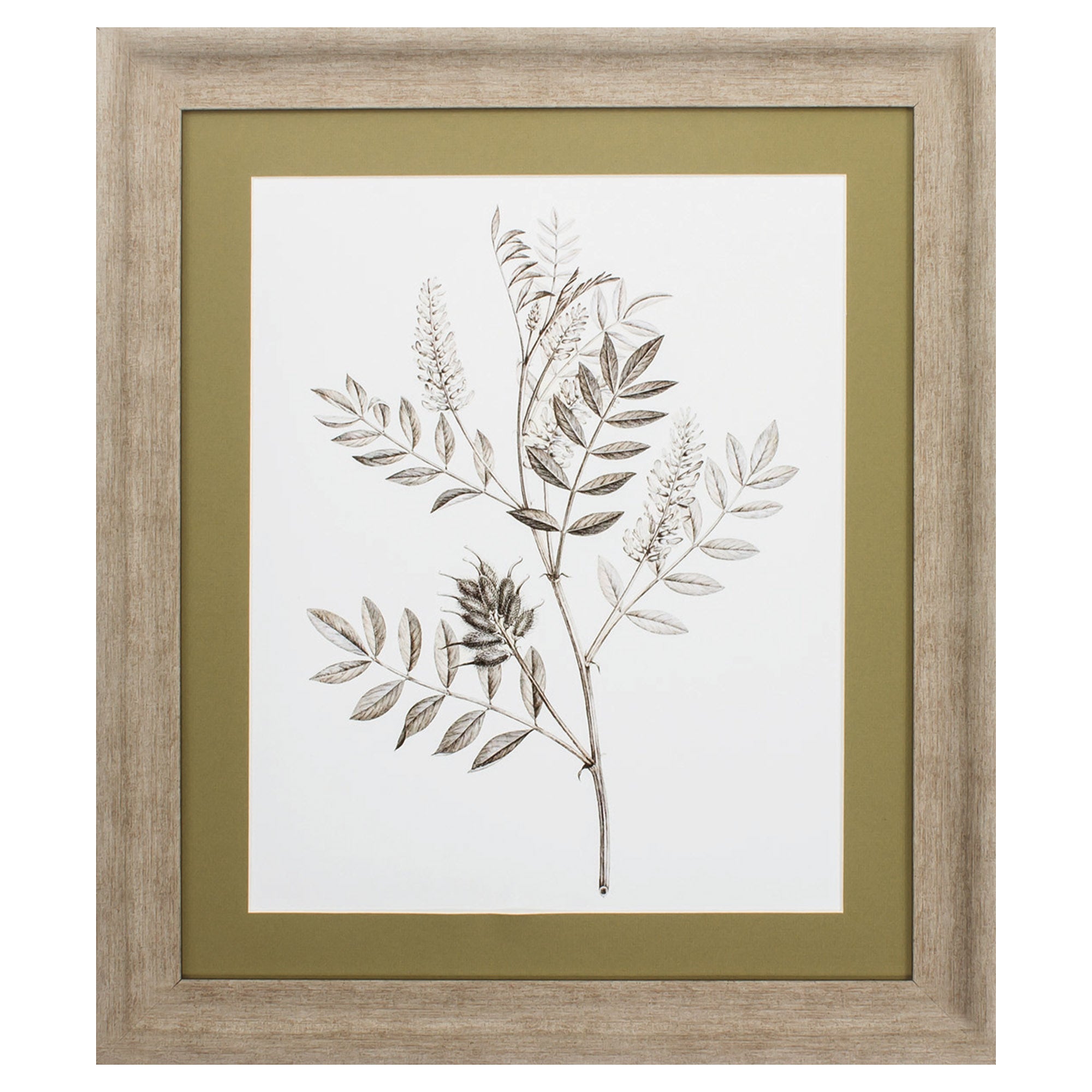 24" X 28" Champagne Color Frame  Neutral Botanical IIi