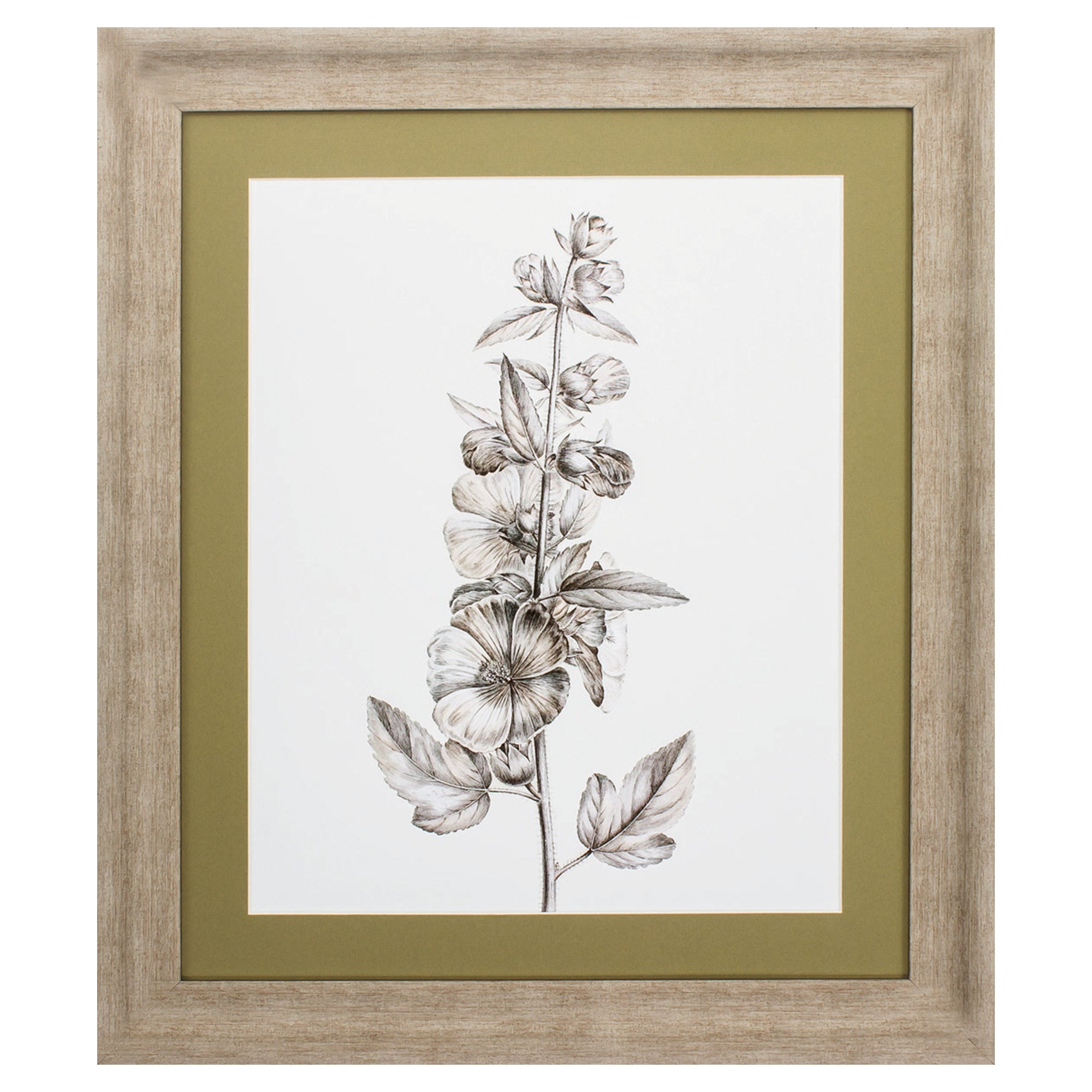 24" X 28" Champagne Color Frame  Neutral Botanical V