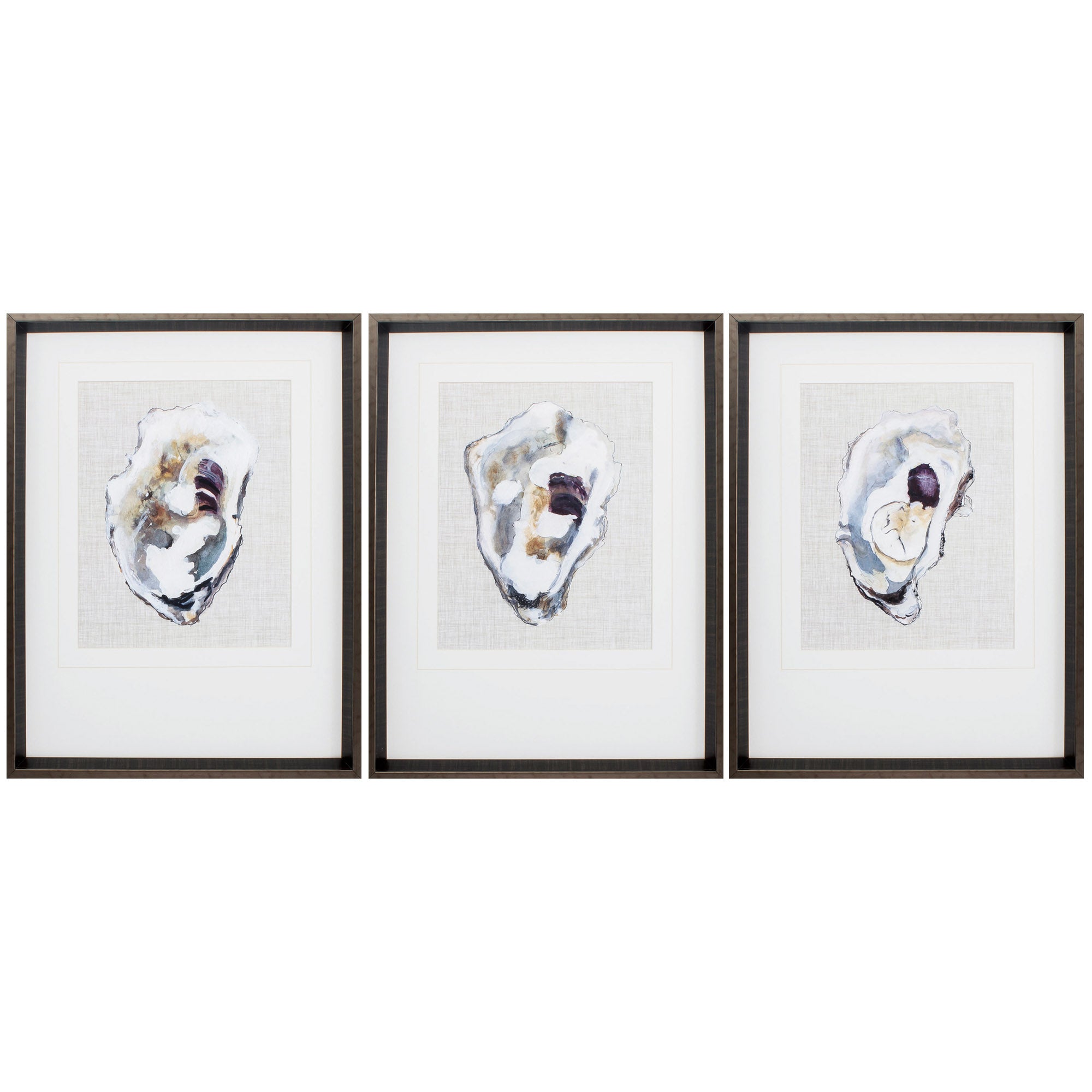 18" X 24" Brushed Silver Frame Oyster Shell Study (Set of 3)