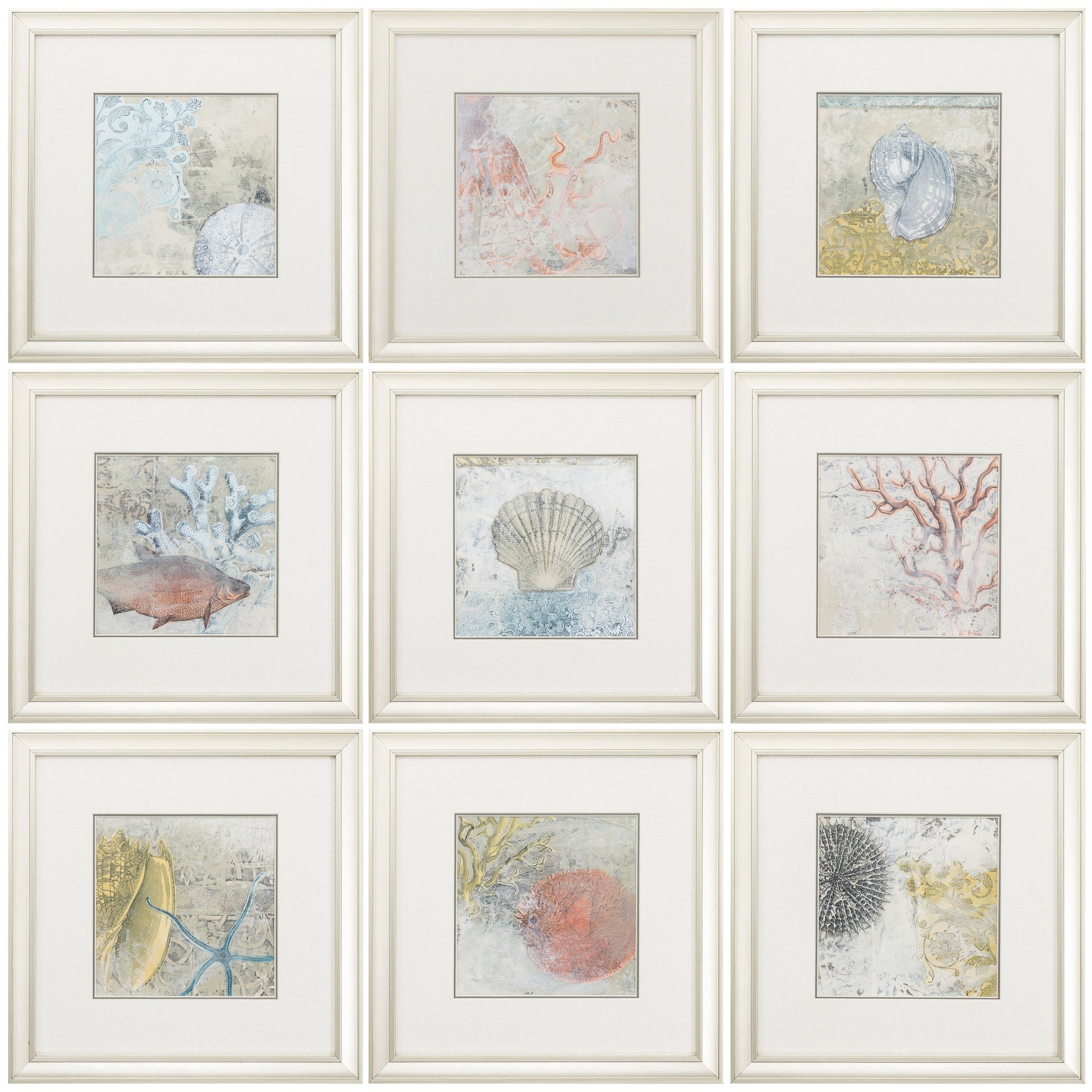 15" X 15" Champagne Gold Color Frame  Coastal Cameo (Set of 9)