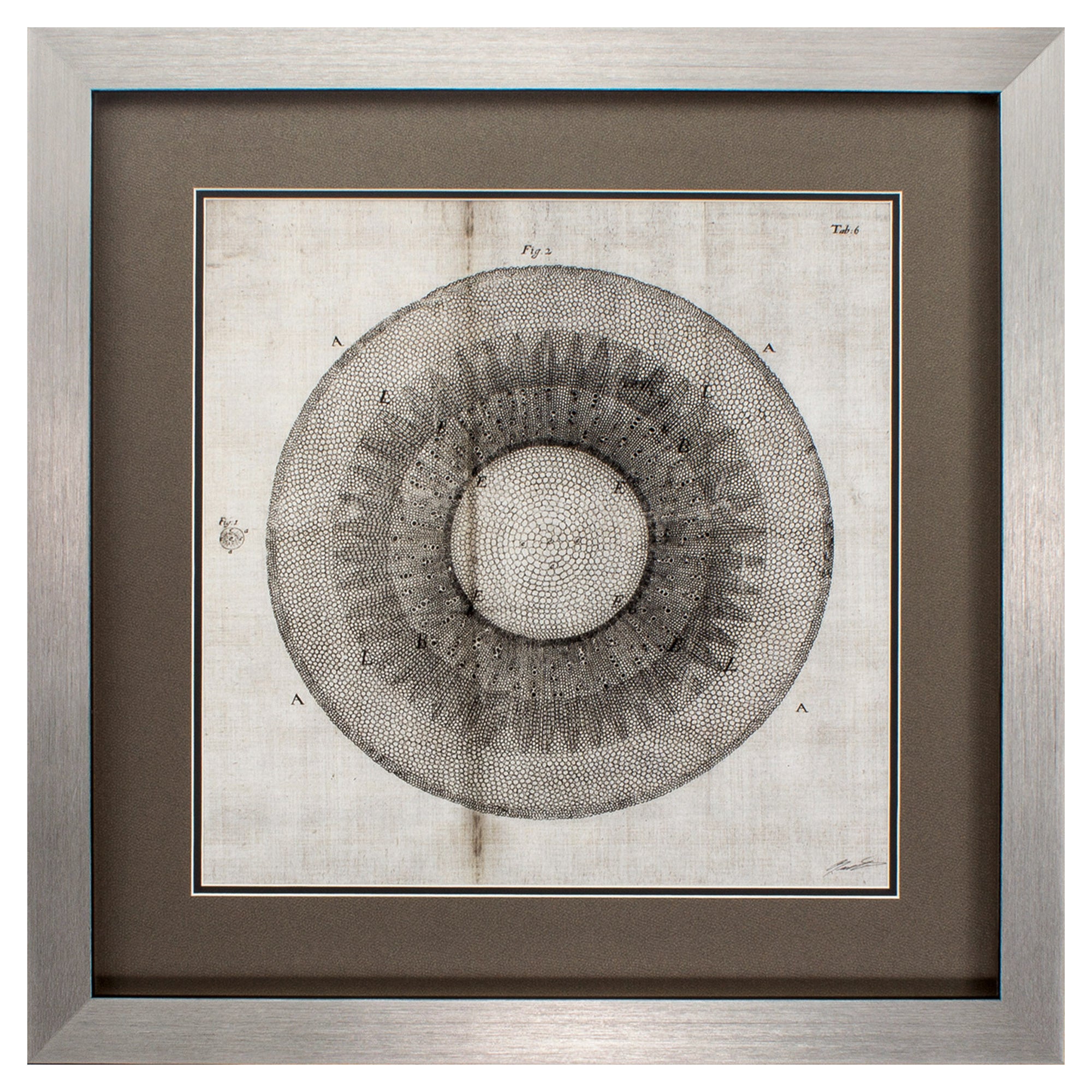 26" X 26" Silver Frame Custom Cross Cut II