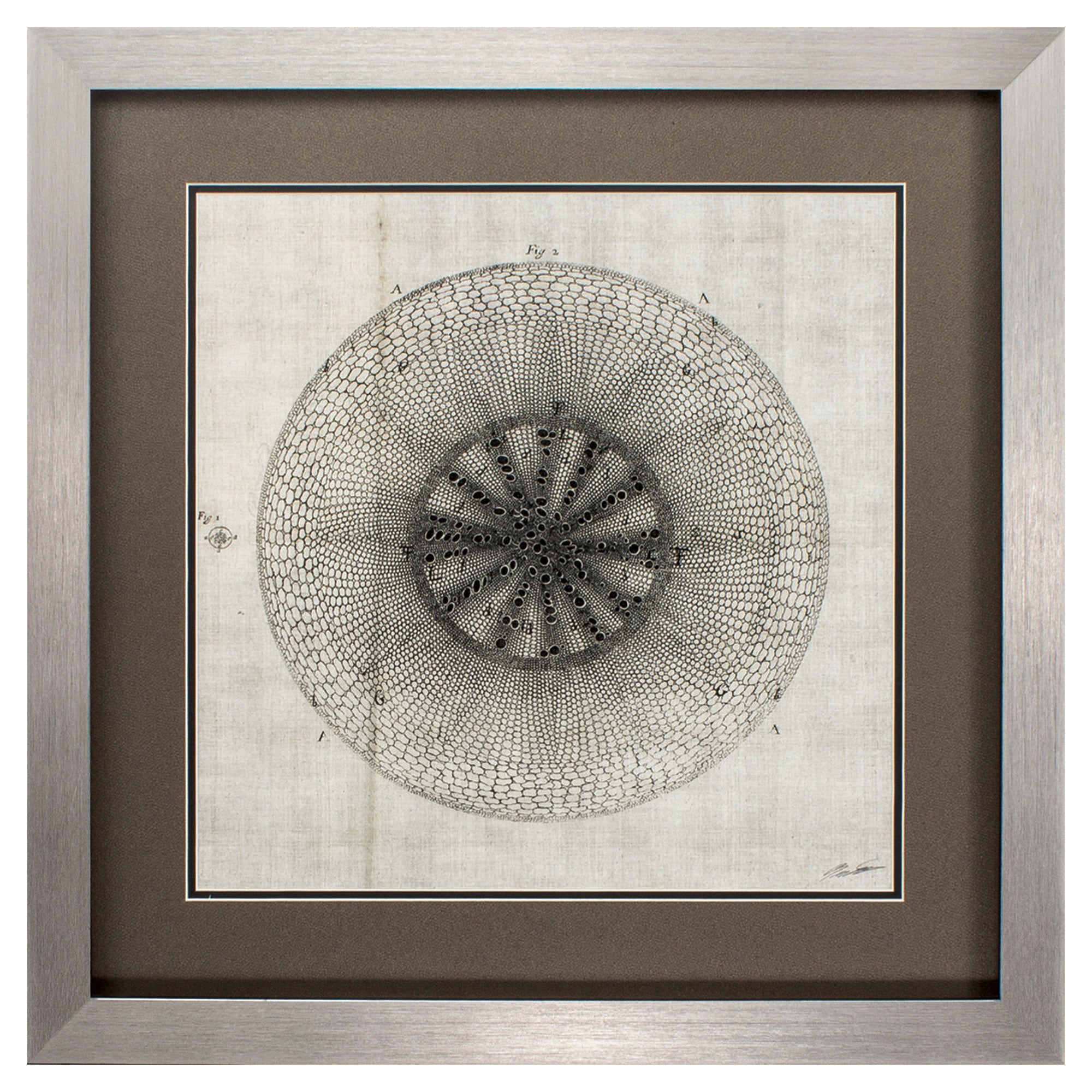 26" X 26" Silver Frame Custom Cross Cut Iv