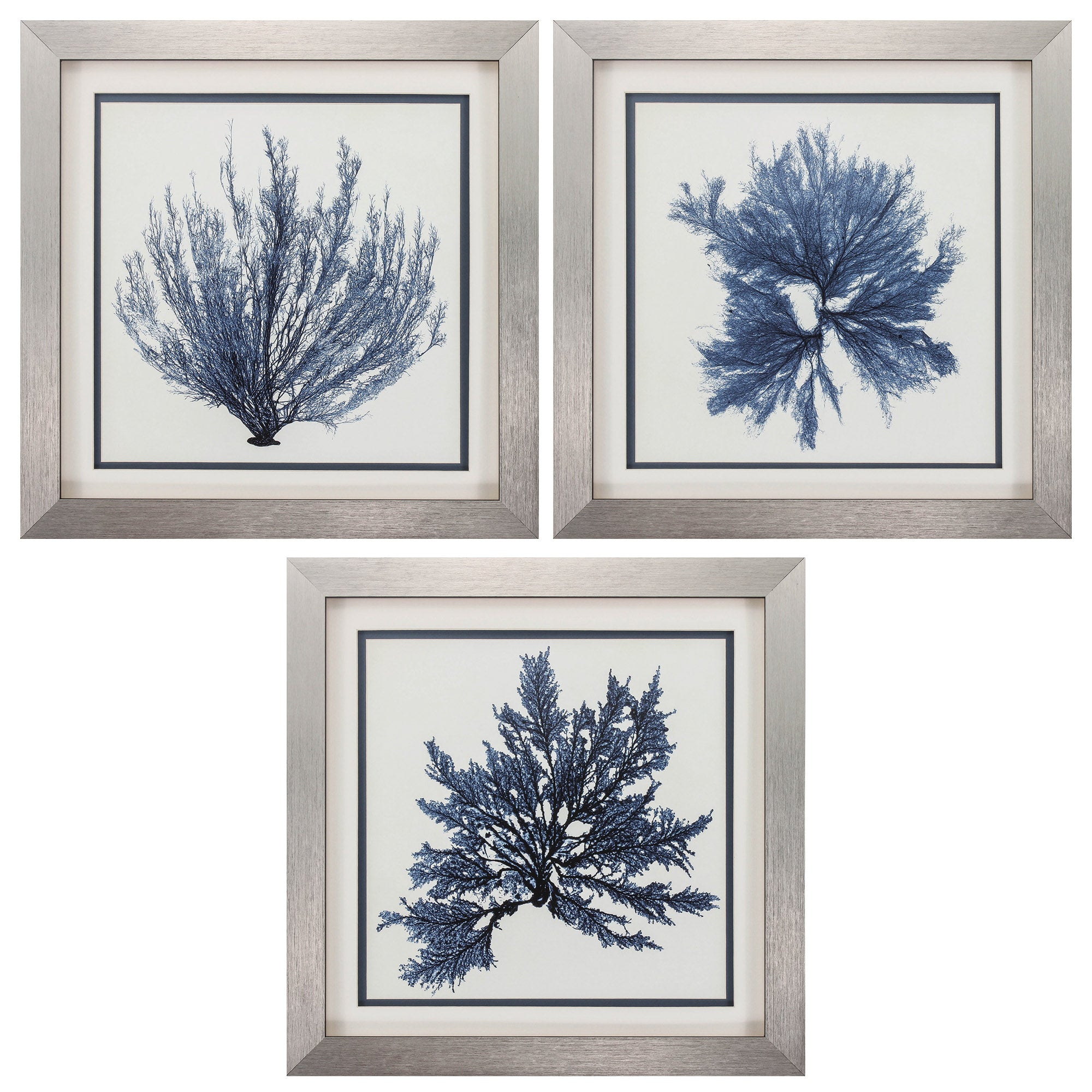 22" X 22" Silver Frame Coastal Seaweed (Set of 3)