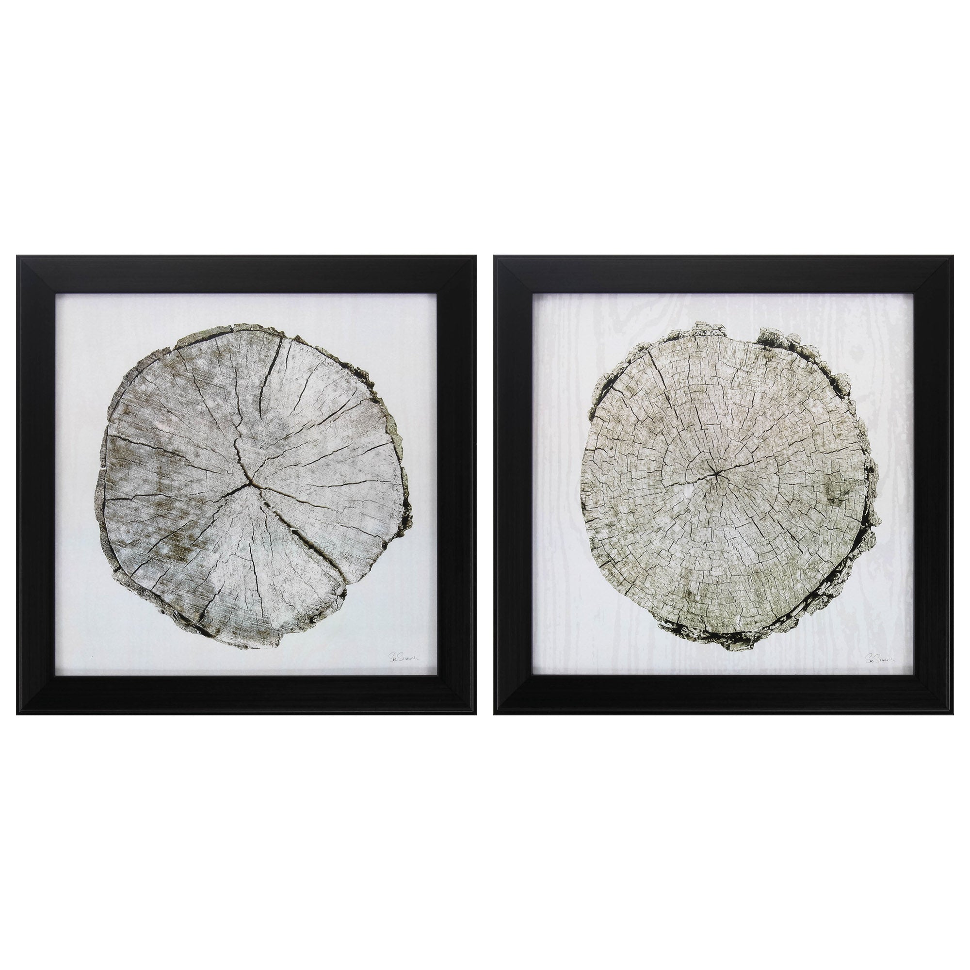 14" X 14" Dark Wood Toned Frame Woodland Years (Set of 2)