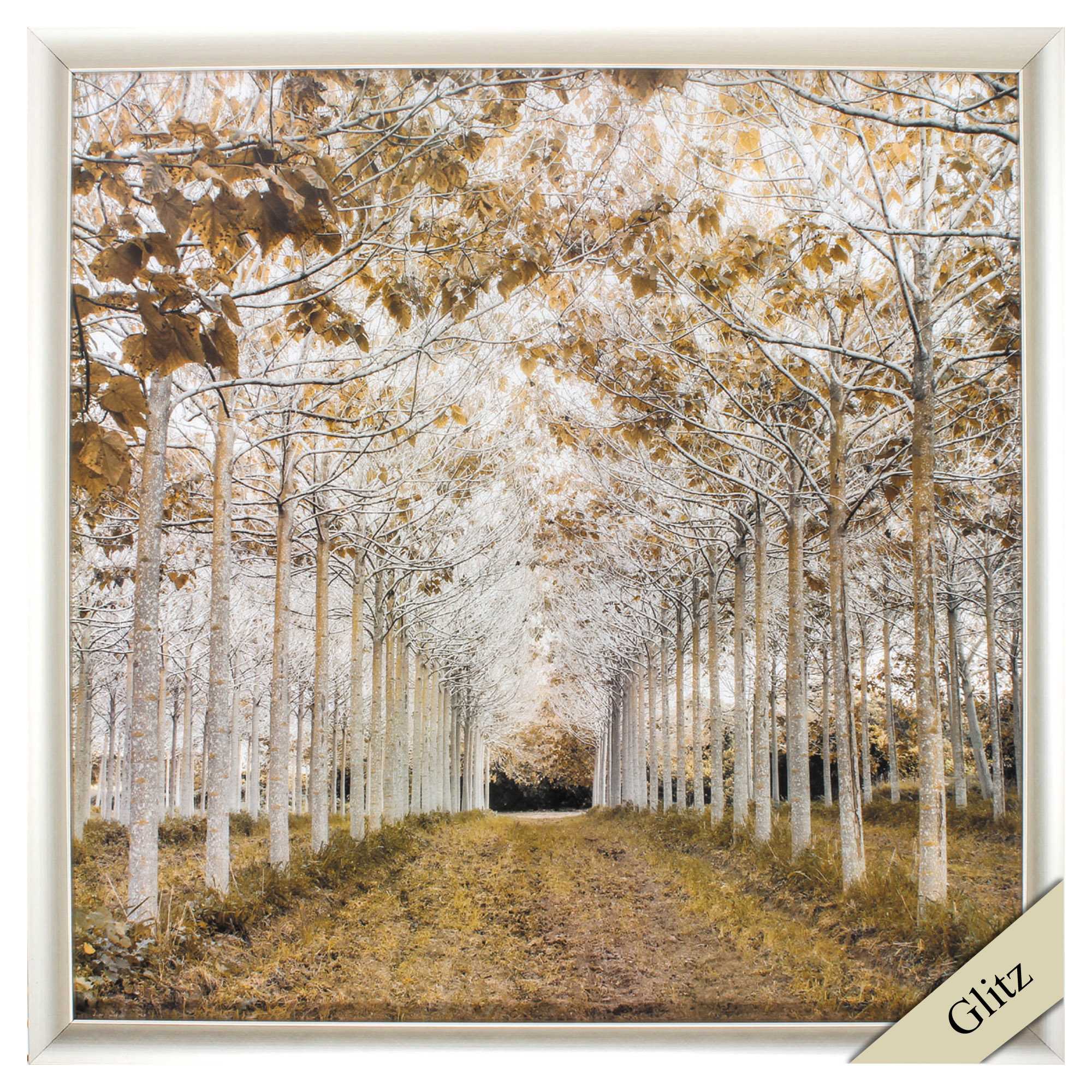 29" X 29" Champagne Gold Color Frame  White Gold