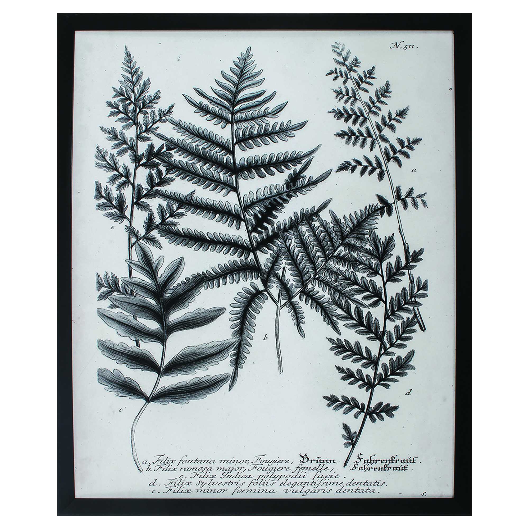 26" X 32" Dark Wood Toned Frame Charcoal Fern Gather II
